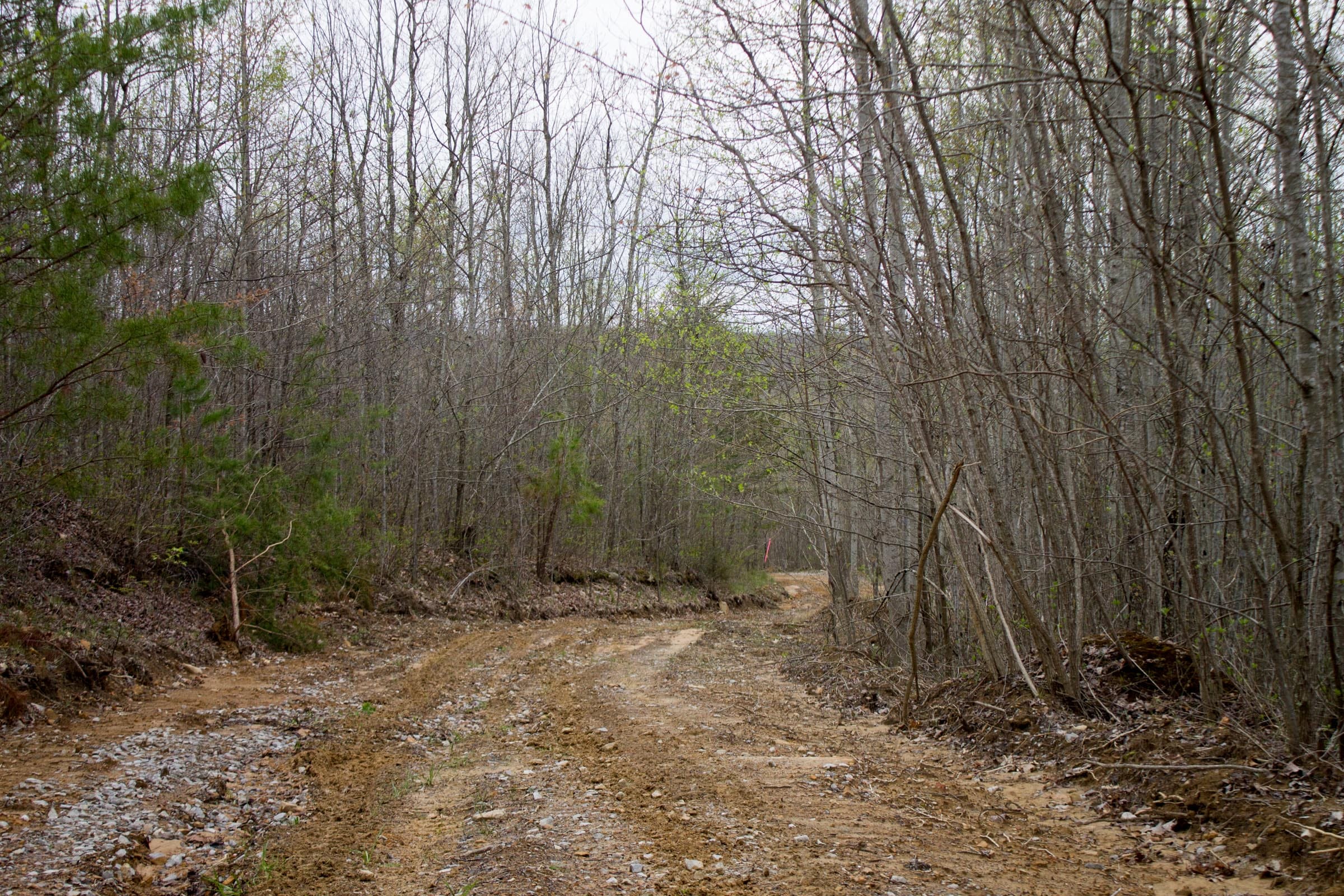 Hidden Hills Tract 41 photo 5