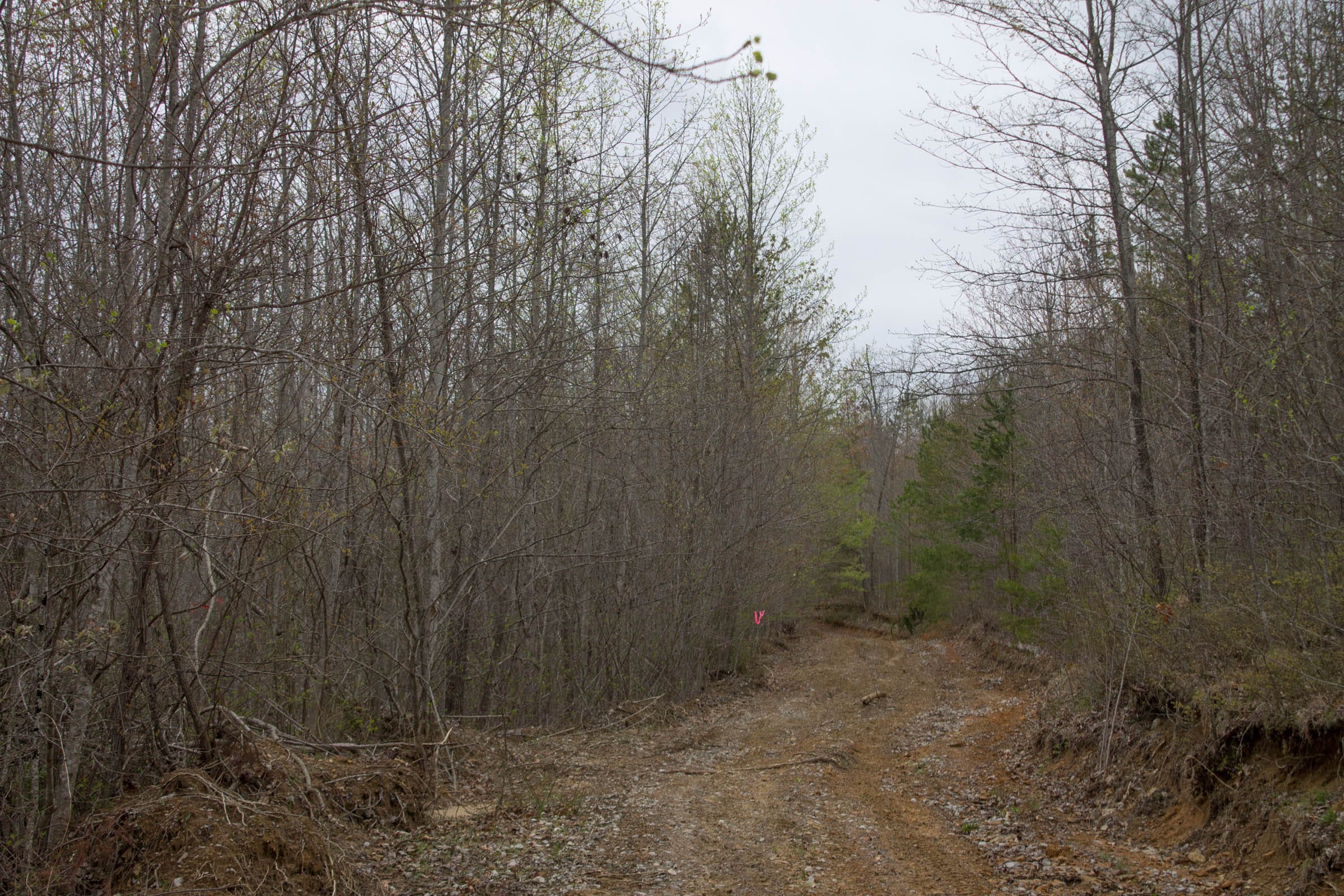Hidden Hills Tract 41 photo 9