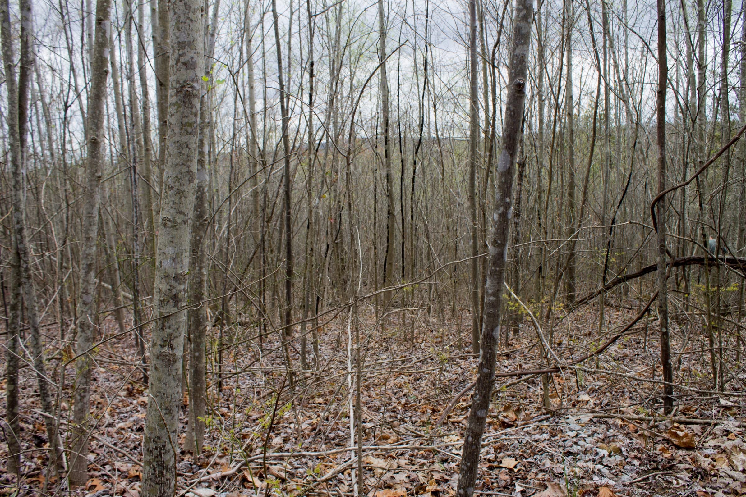 Hidden Hills Tract 41 photo 8