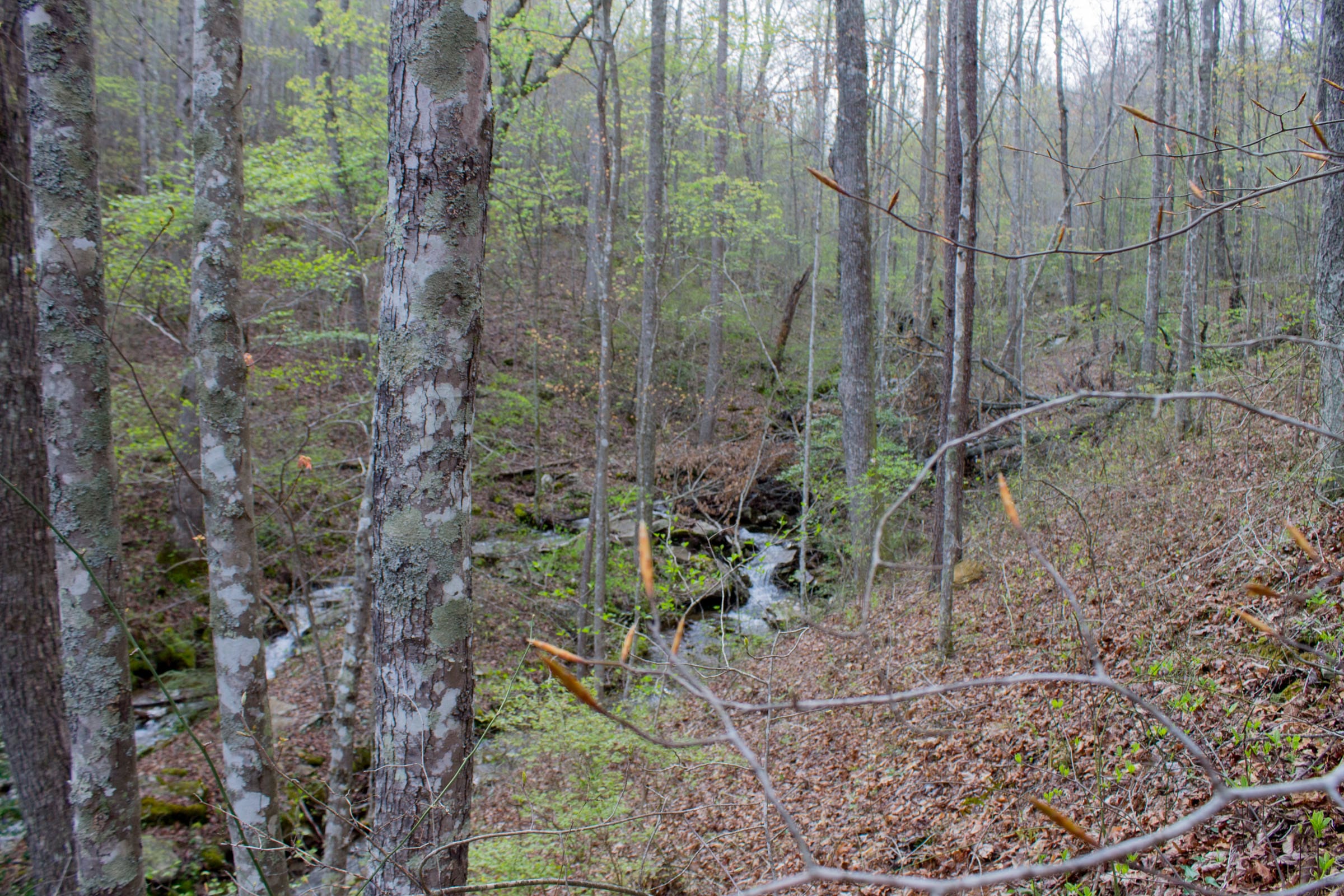 Hidden Hills Tract 41 photo 10