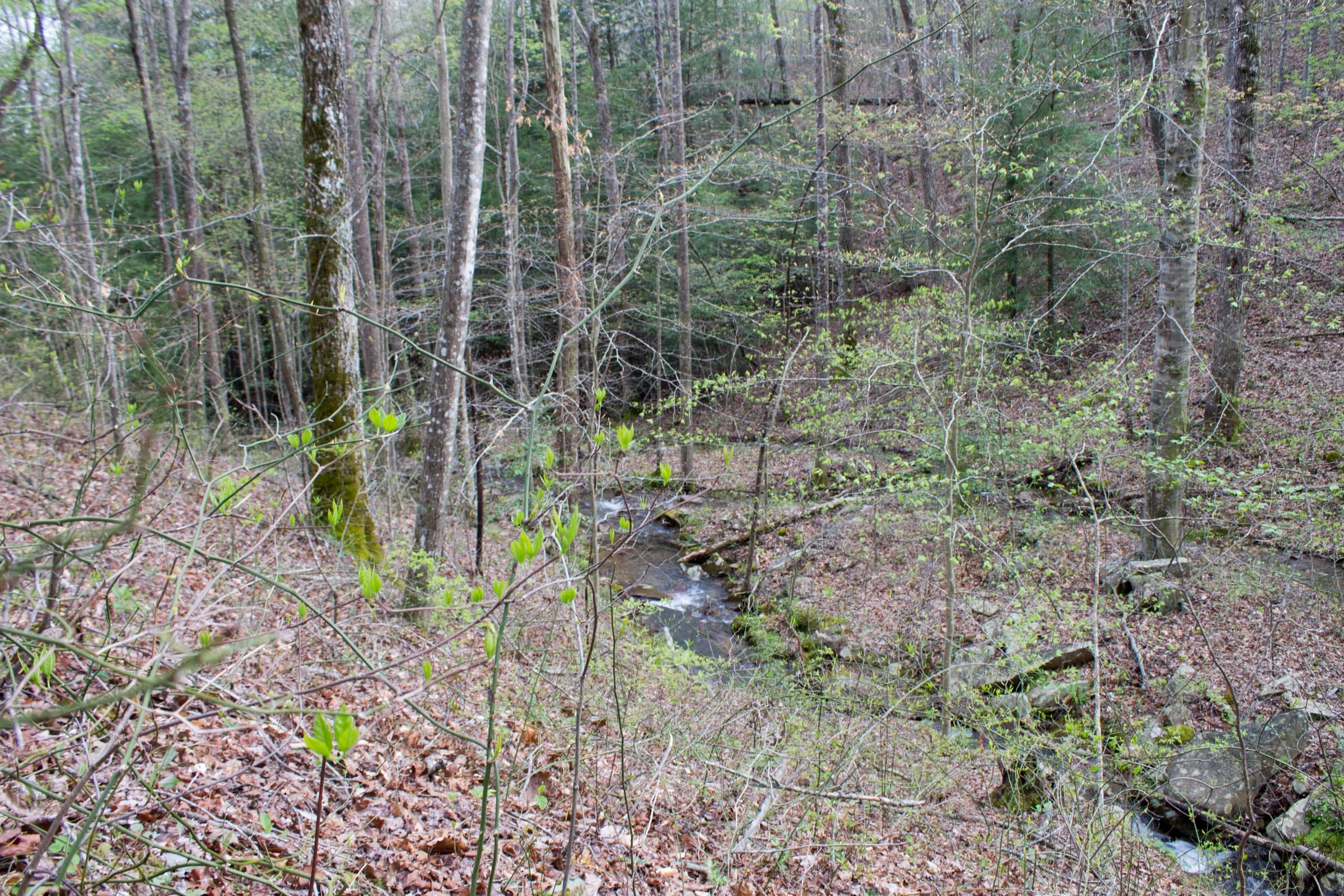 Hidden Hills Tract 41 photo 13