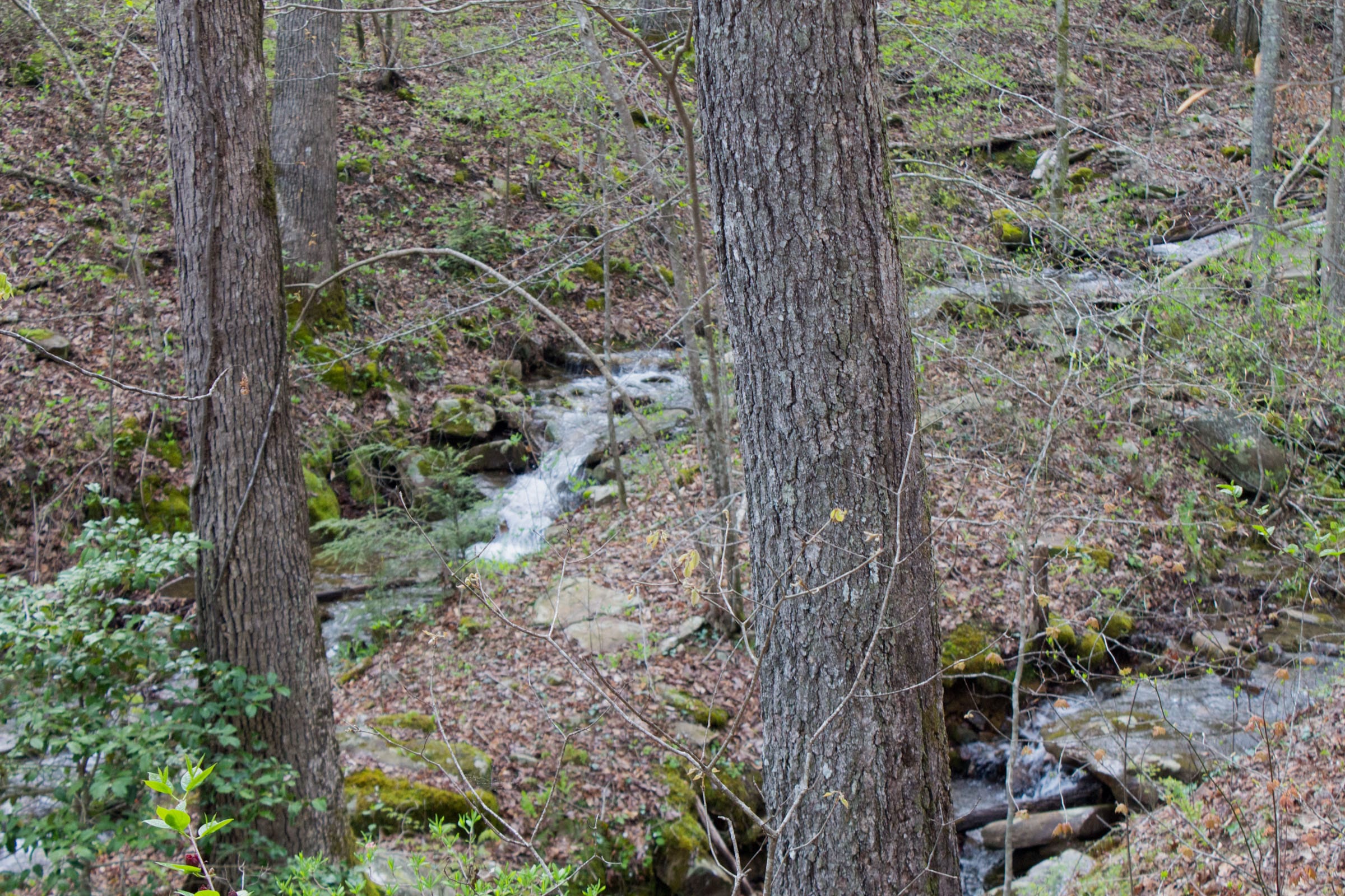 Hidden Hills Tract 41 photo 14