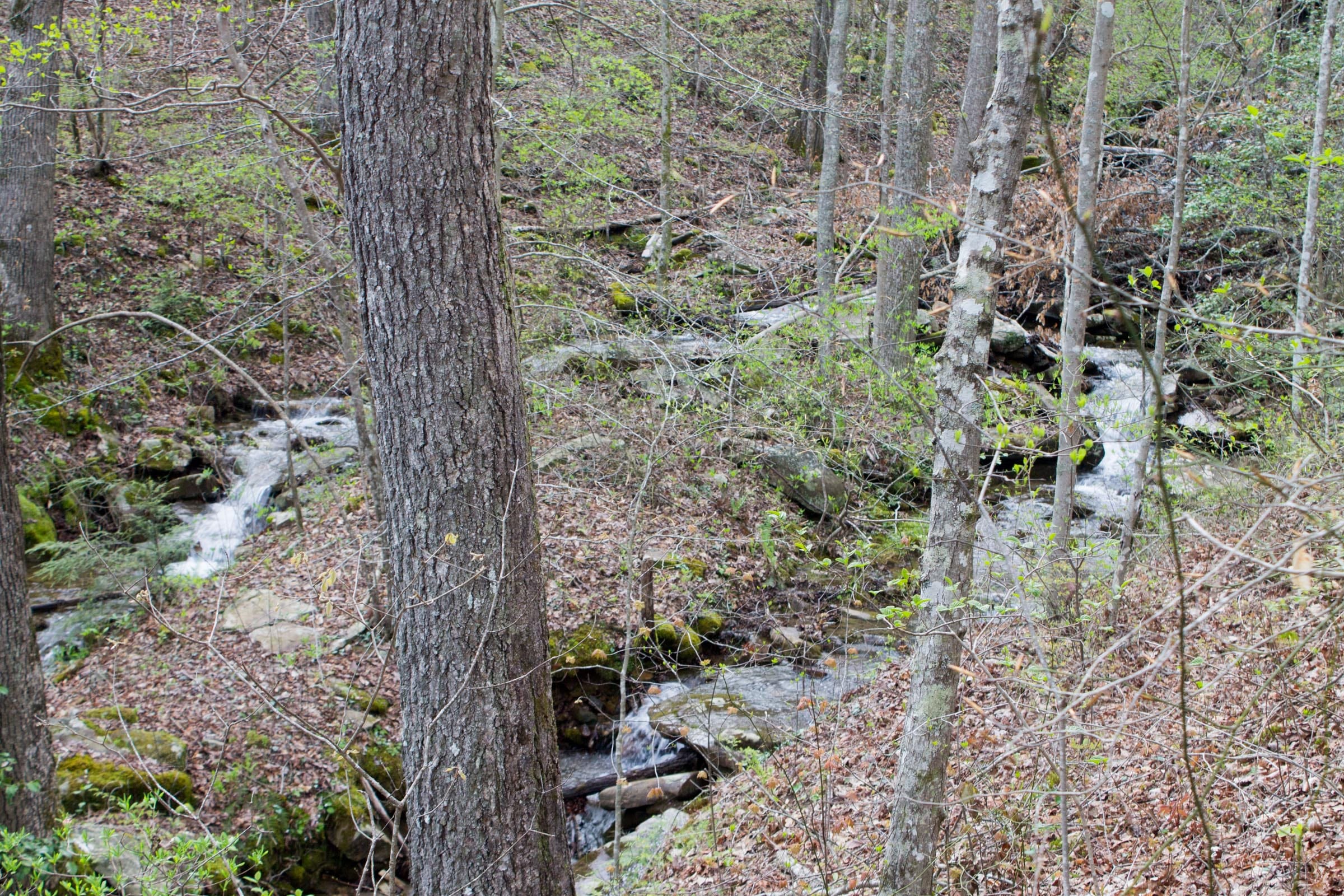 Hidden Hills Tract 41 photo 15