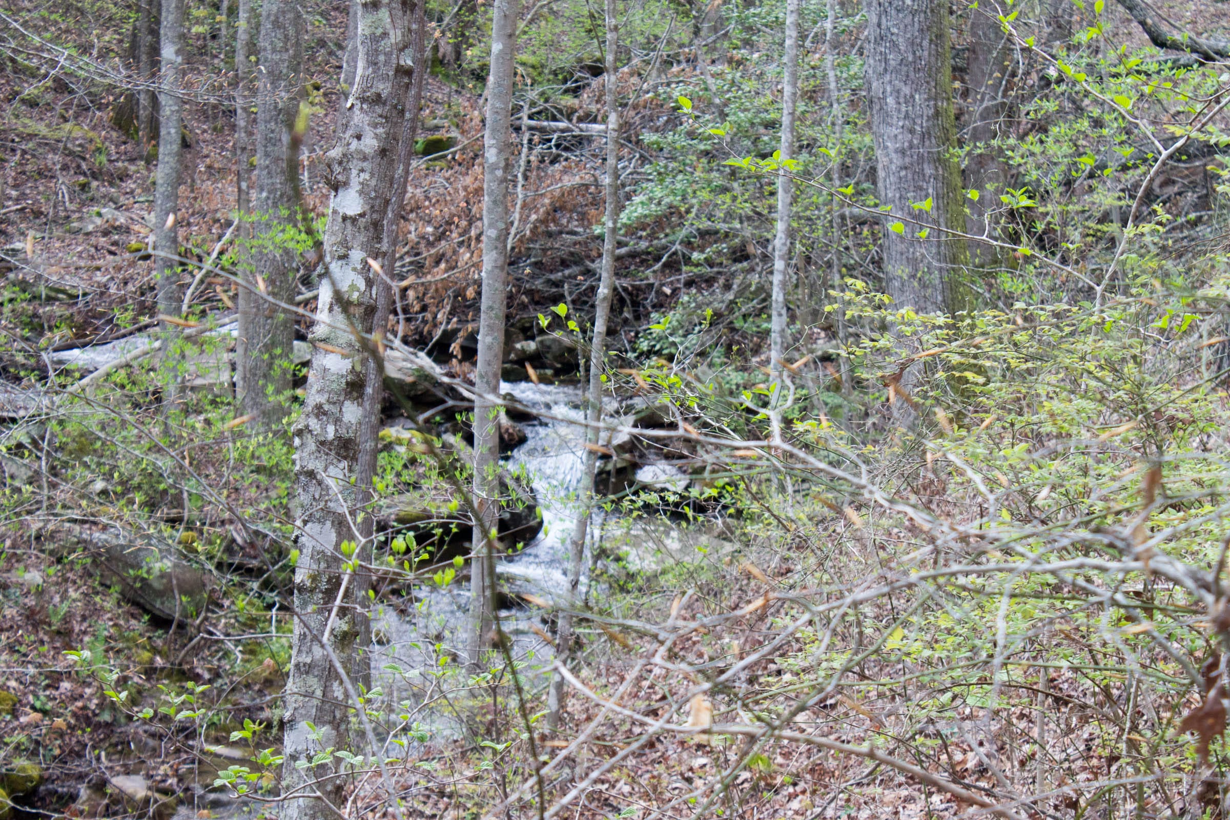 Hidden Hills Tract 41 photo 16