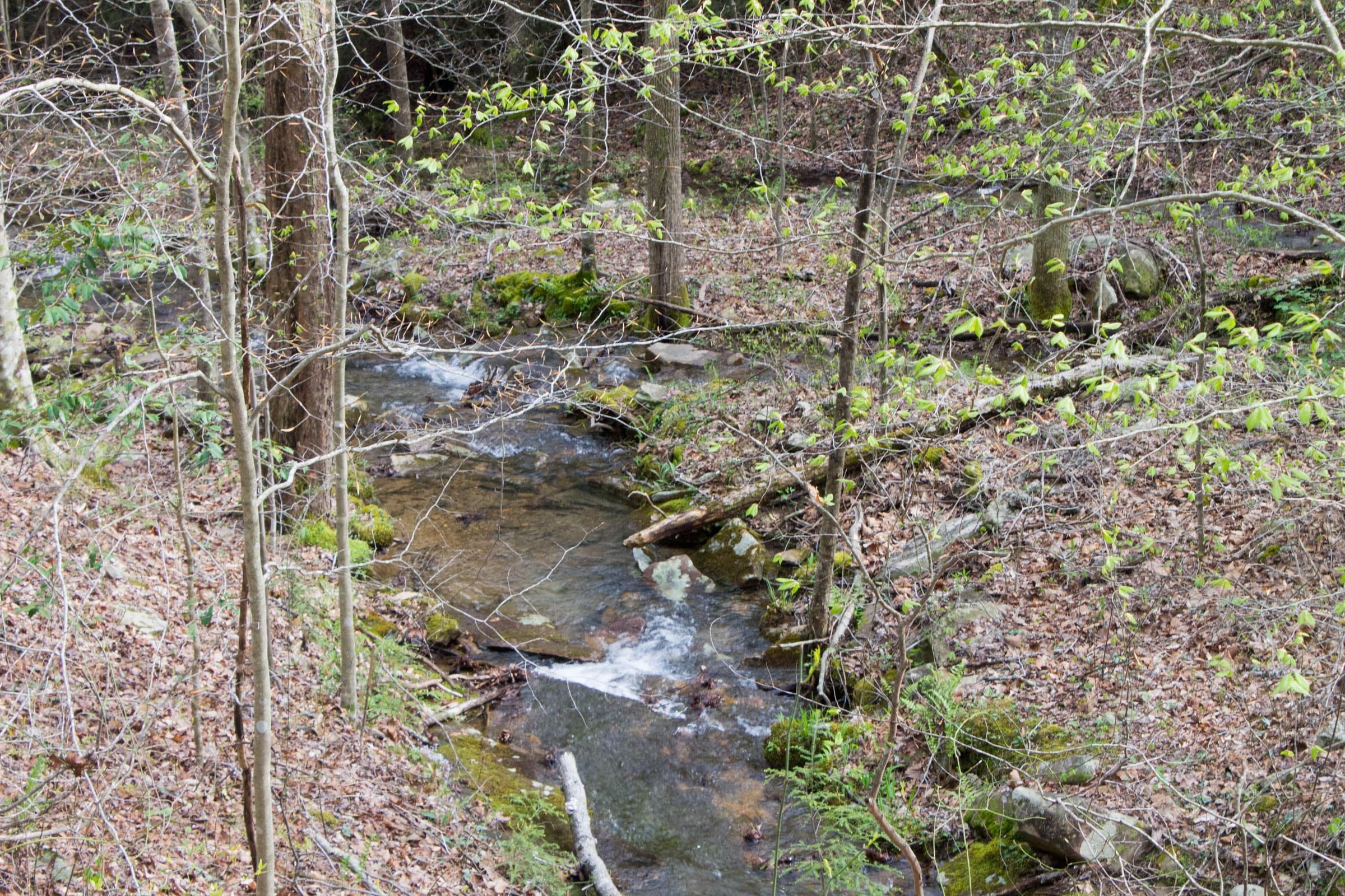 Hidden Hills Tract 41 photo 18