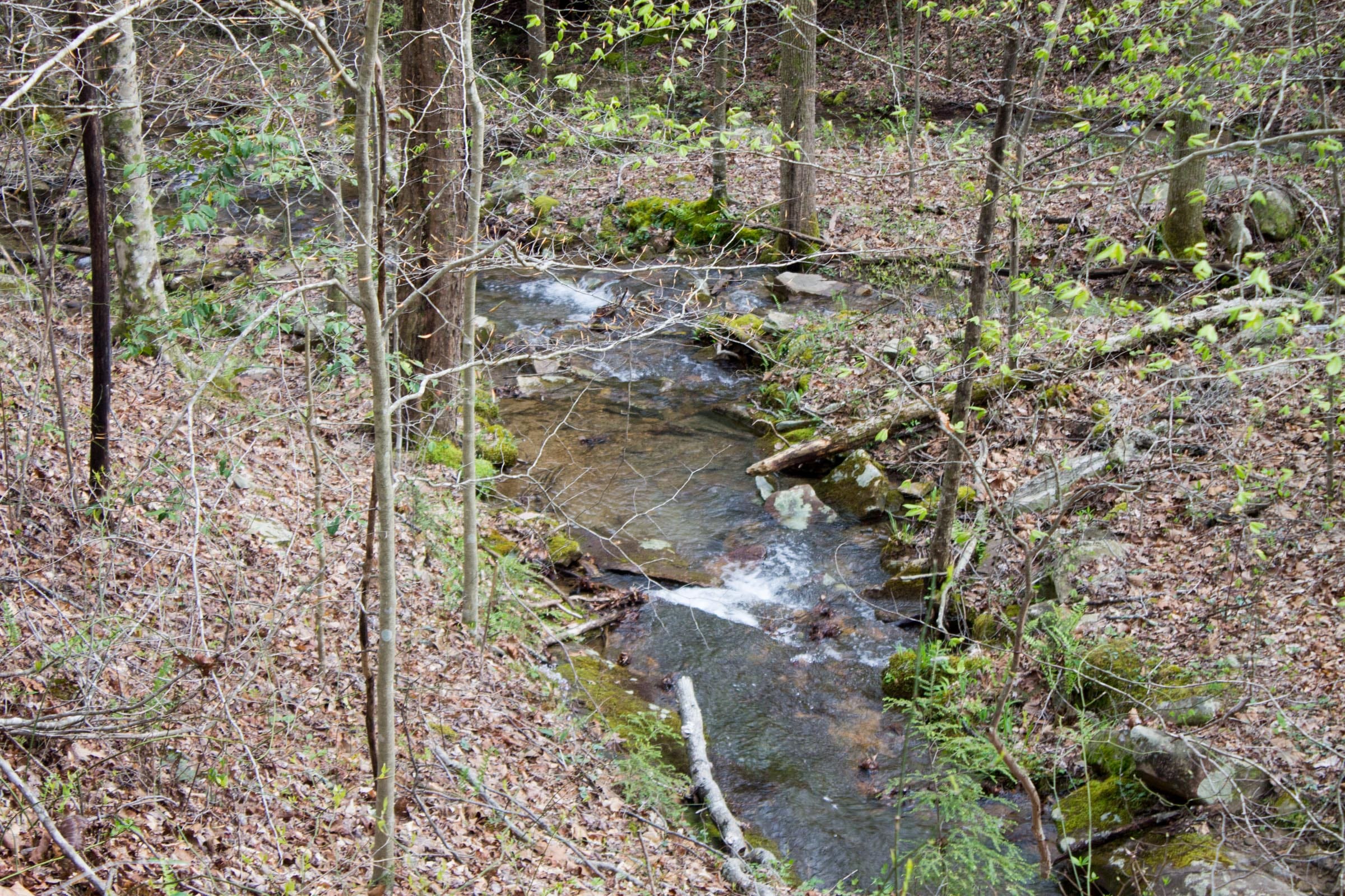 Hidden Hills Tract 41 photo 19
