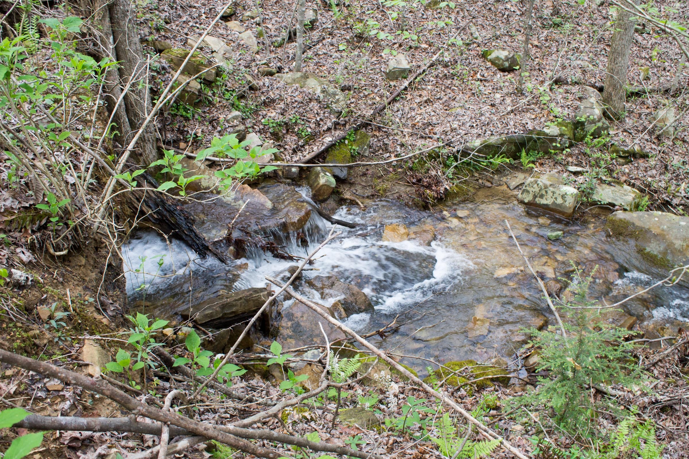Hidden Hills Tract 41 photo 21