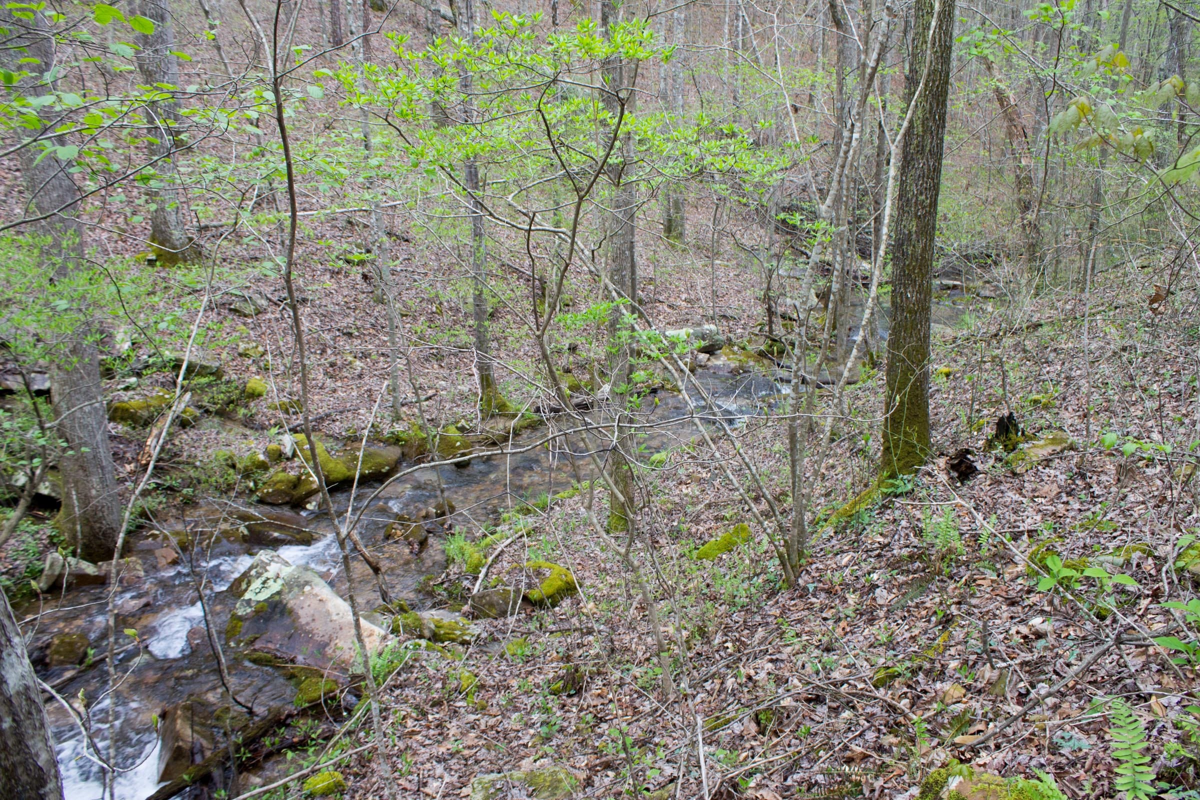 Hidden Hills Tract 41 photo 22