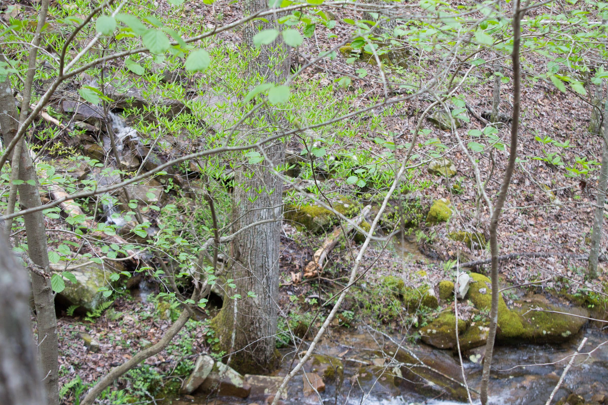 Hidden Hills Tract 41 photo 23