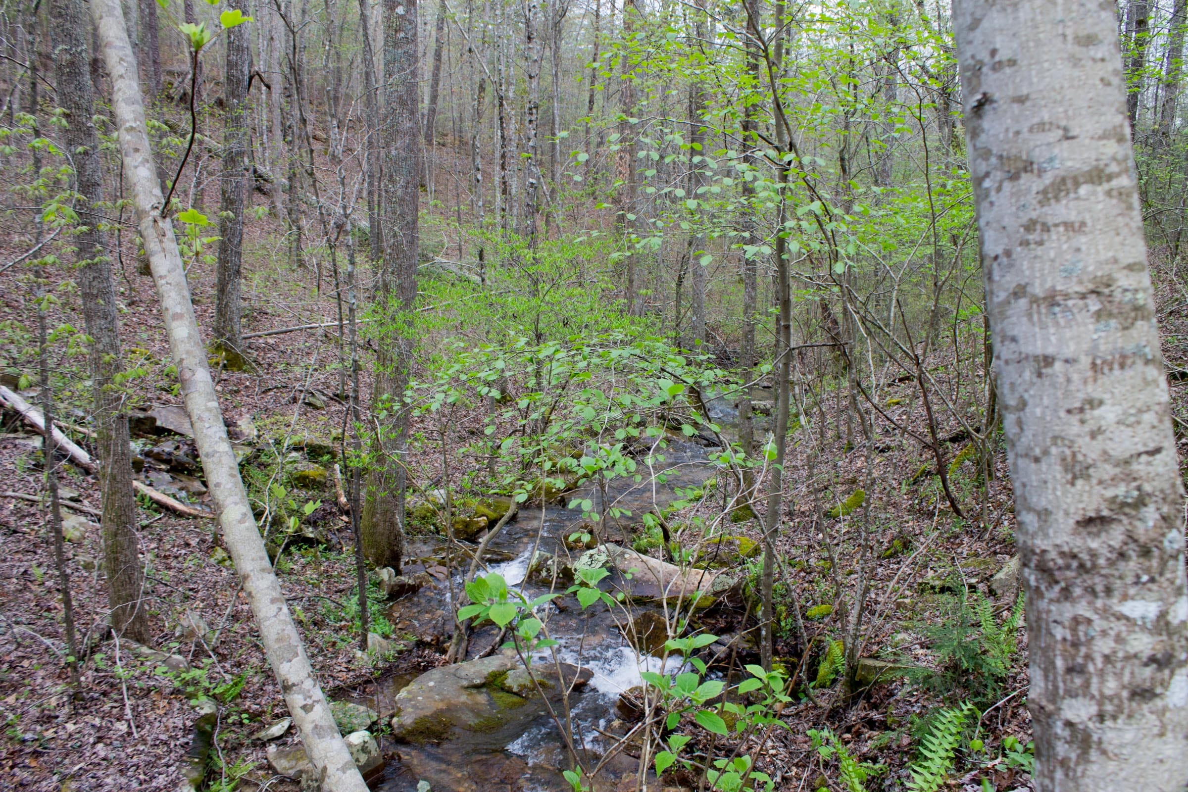 Hidden Hills Tract 41 photo 25
