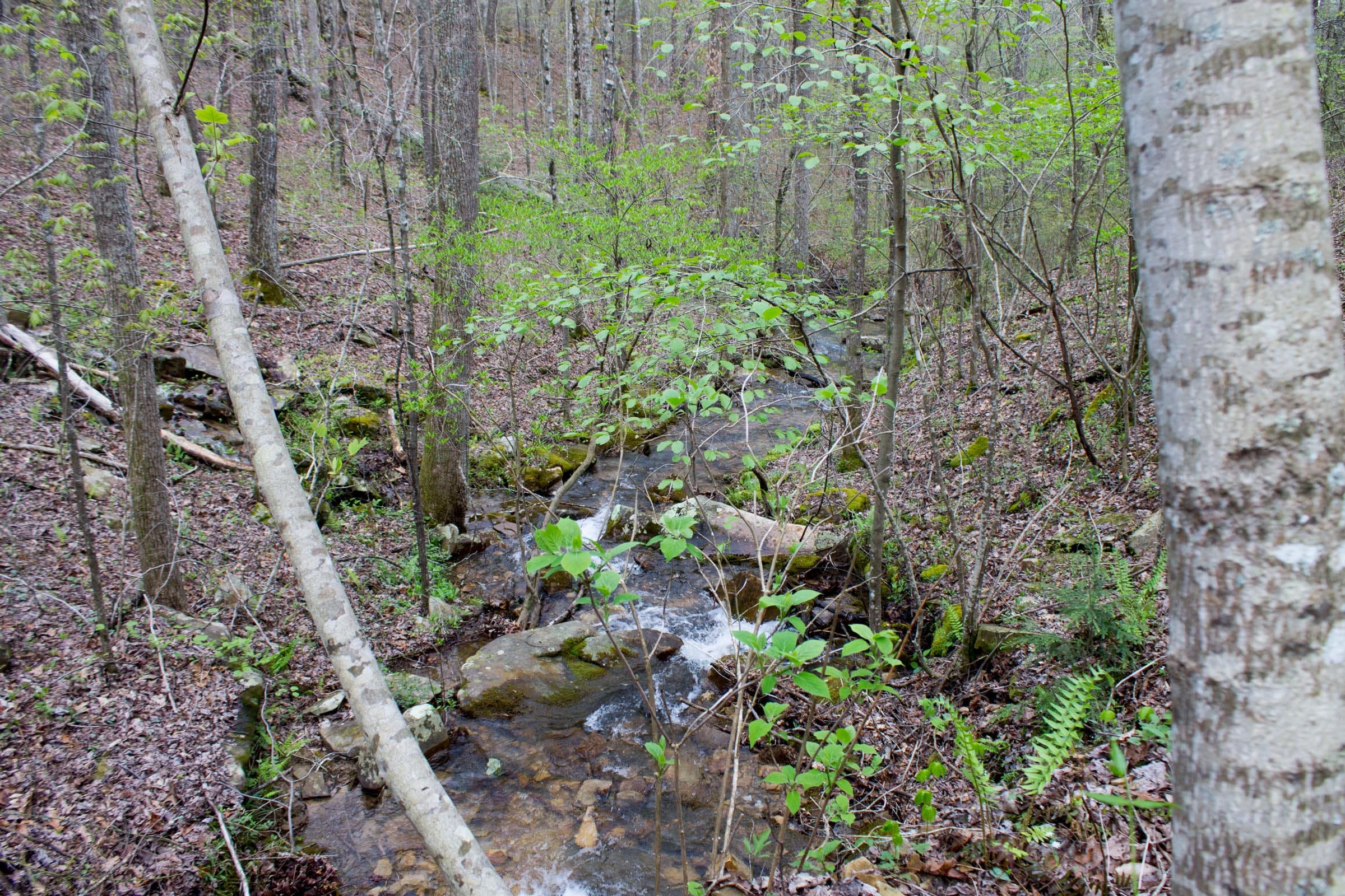 Hidden Hills Tract 41 photo 26
