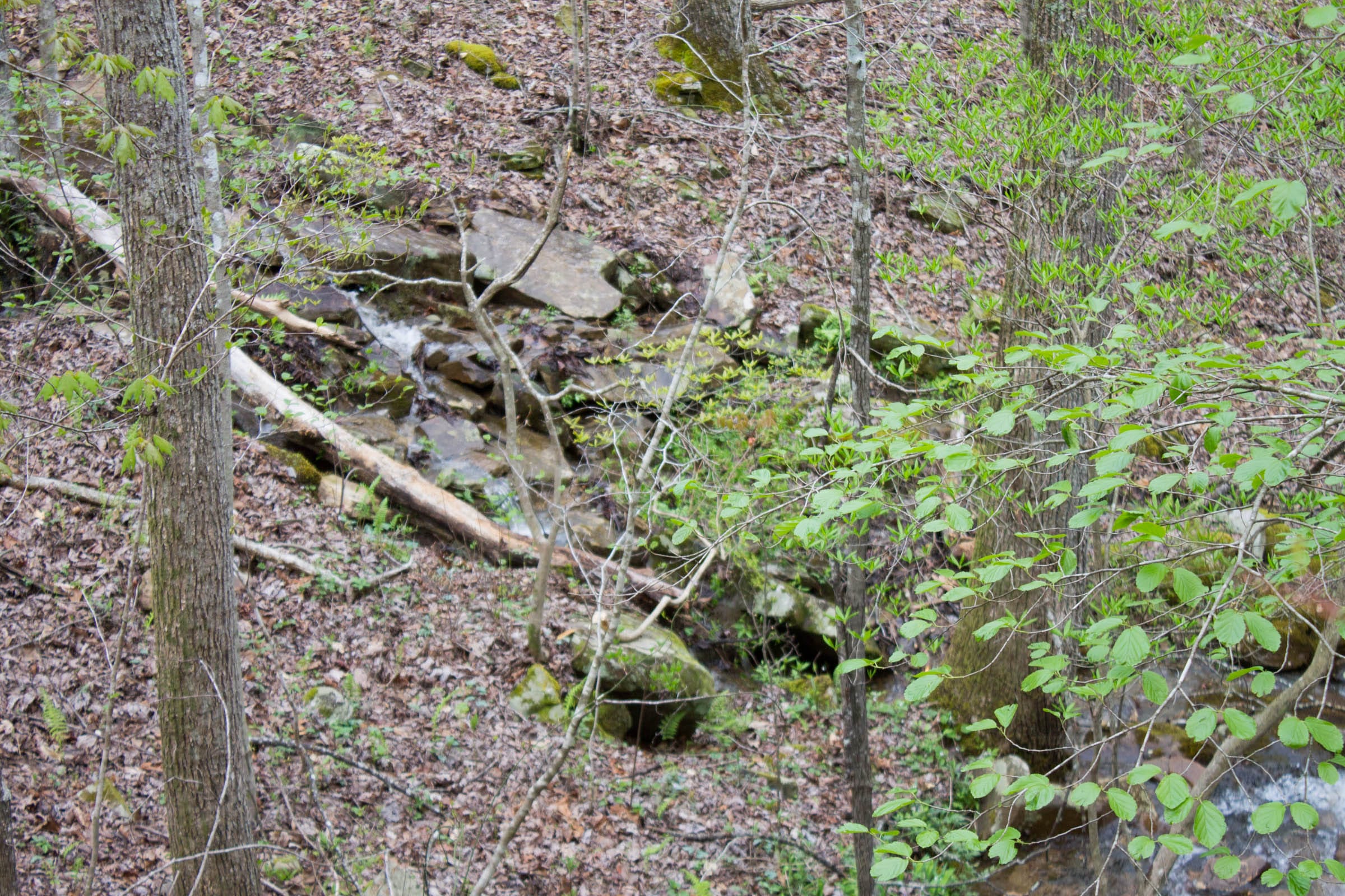 Hidden Hills Tract 41 photo 27