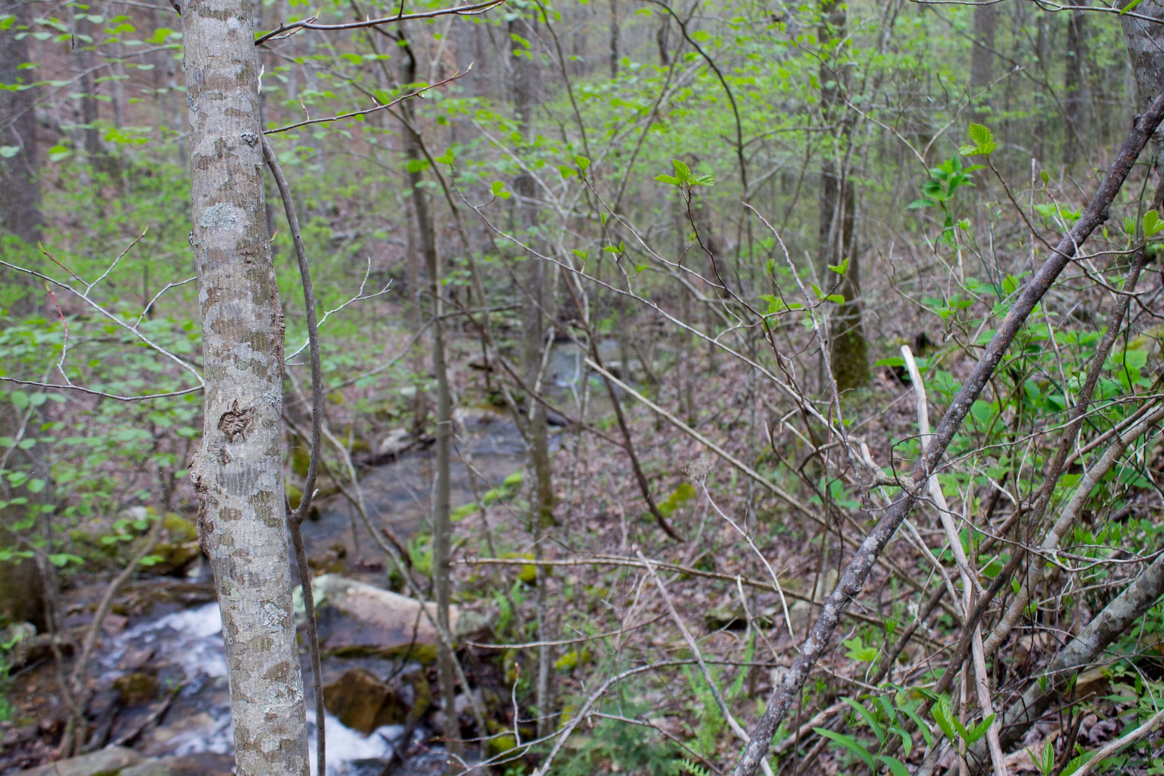 Hidden Hills Tract 41 photo 28