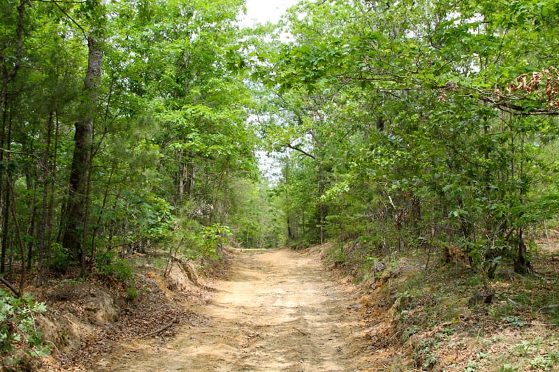 Trophy Ridge Phase II Tract 69 photo 1
