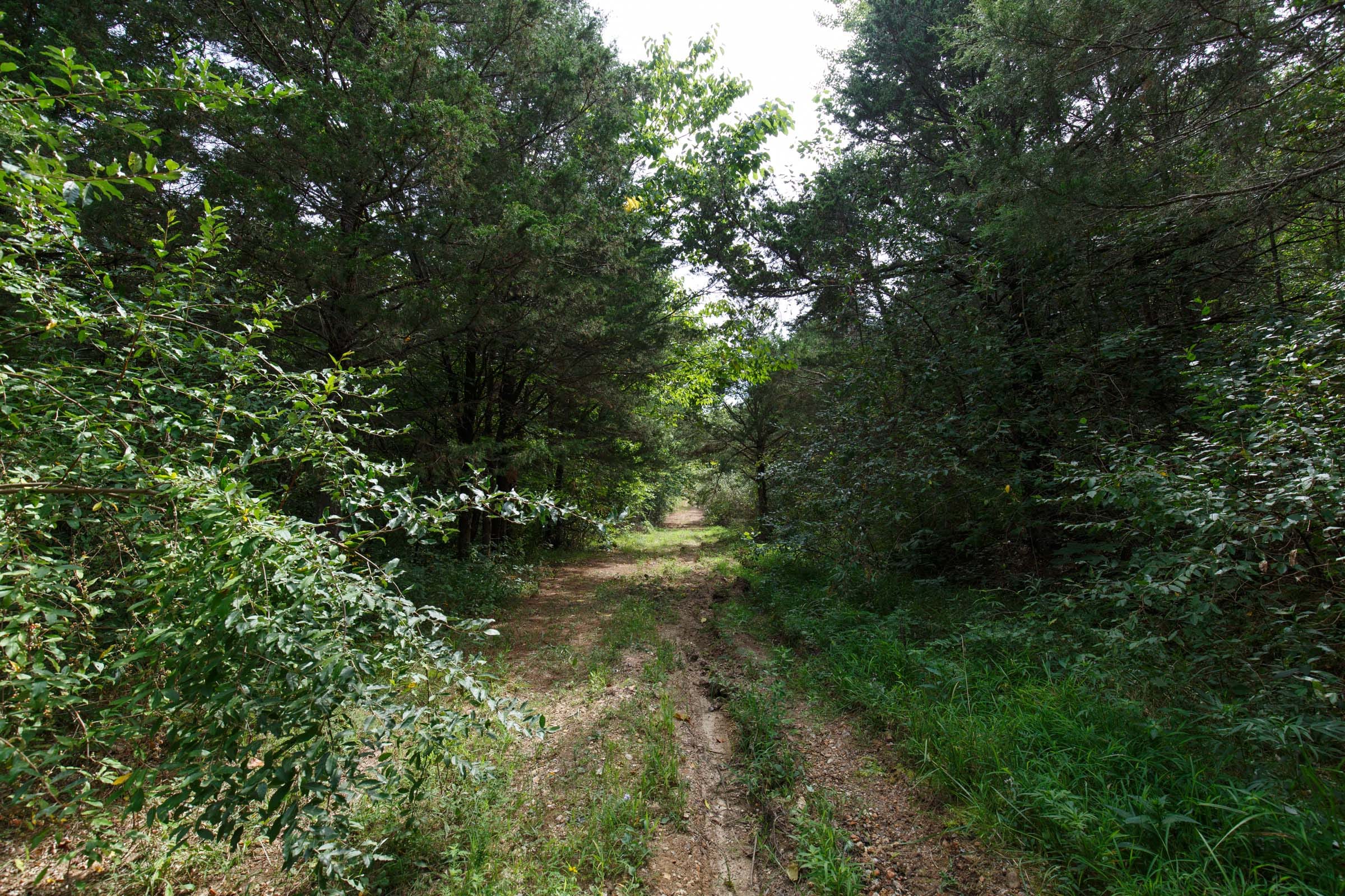Spring Lake Plat 6 Tract 4 photo 4