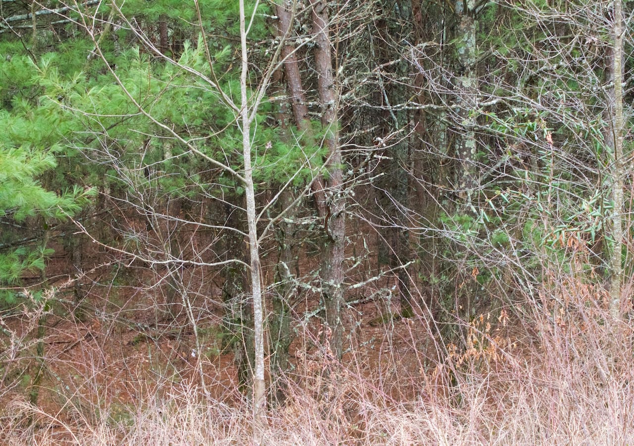 Majestic Rock Ranch Tract 6 photo 7