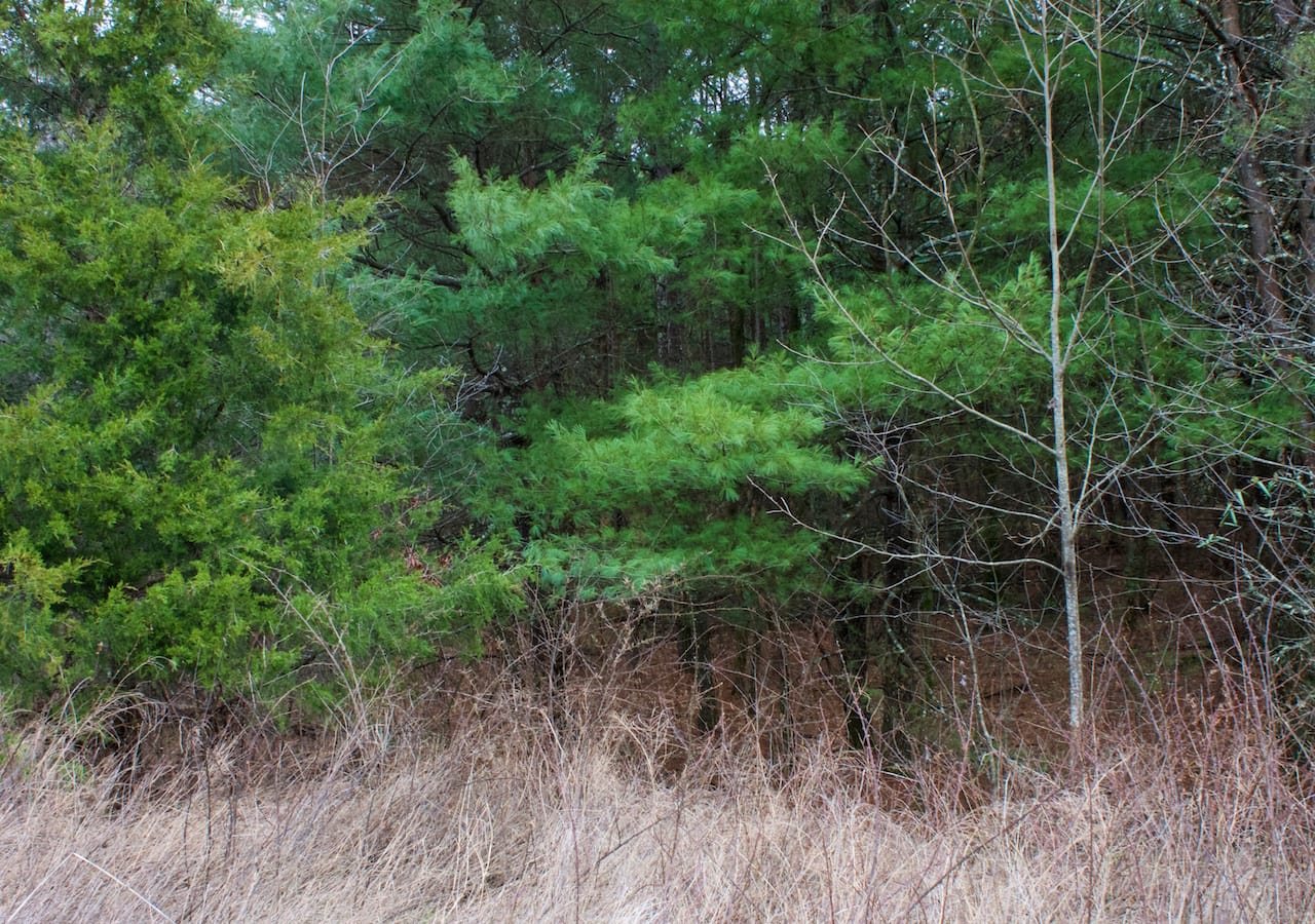 Majestic Rock Ranch Tract 6 photo 8