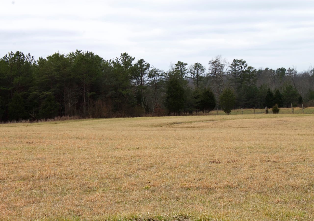 Majestic Rock Ranch Tract 6 photo 11