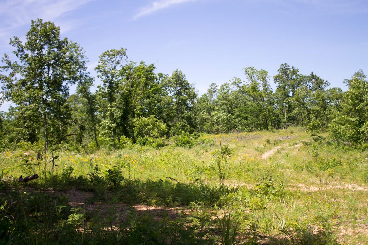 Timber Crossing Tract 25 photo 2
