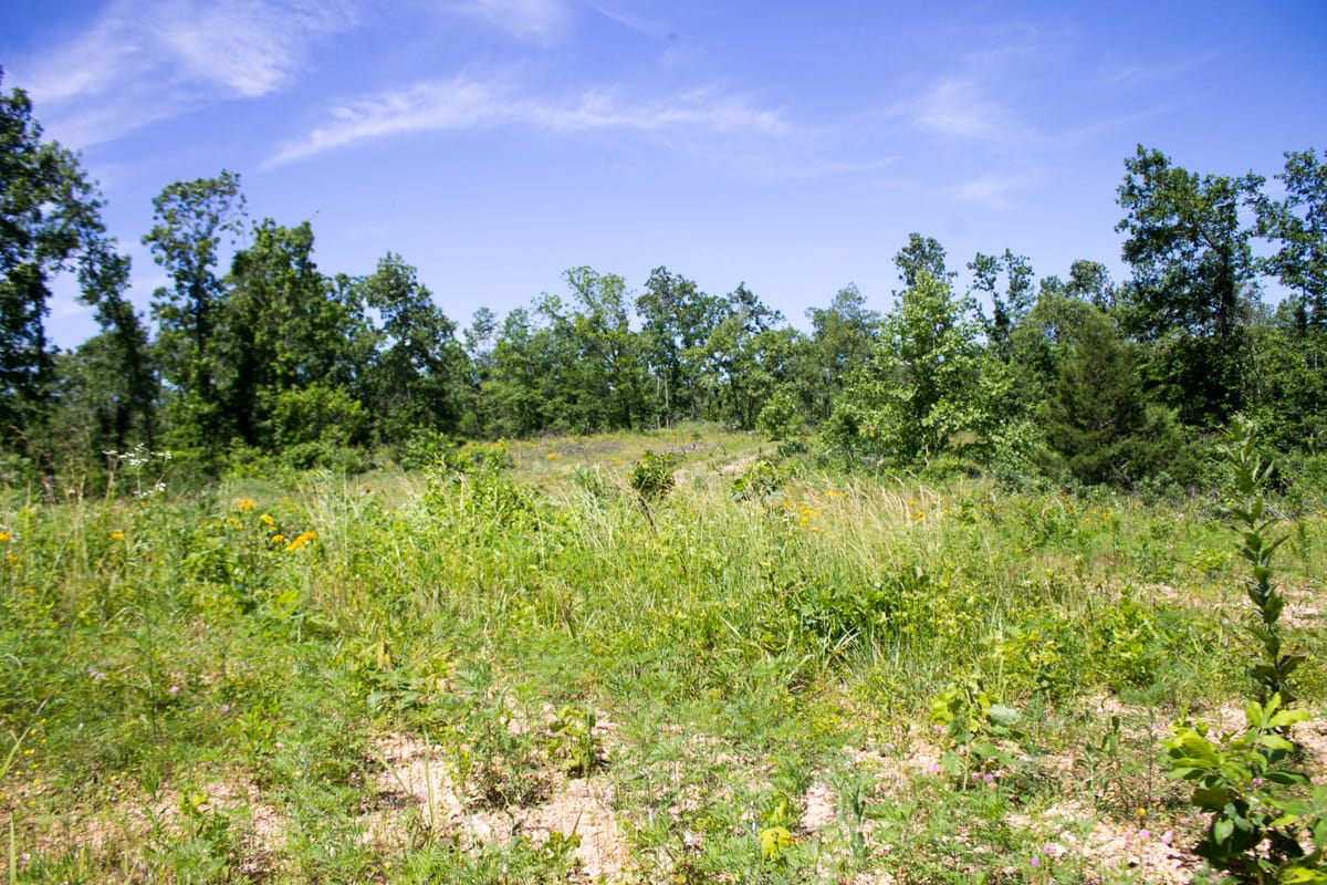 Timber Crossing Tract 25 photo 1