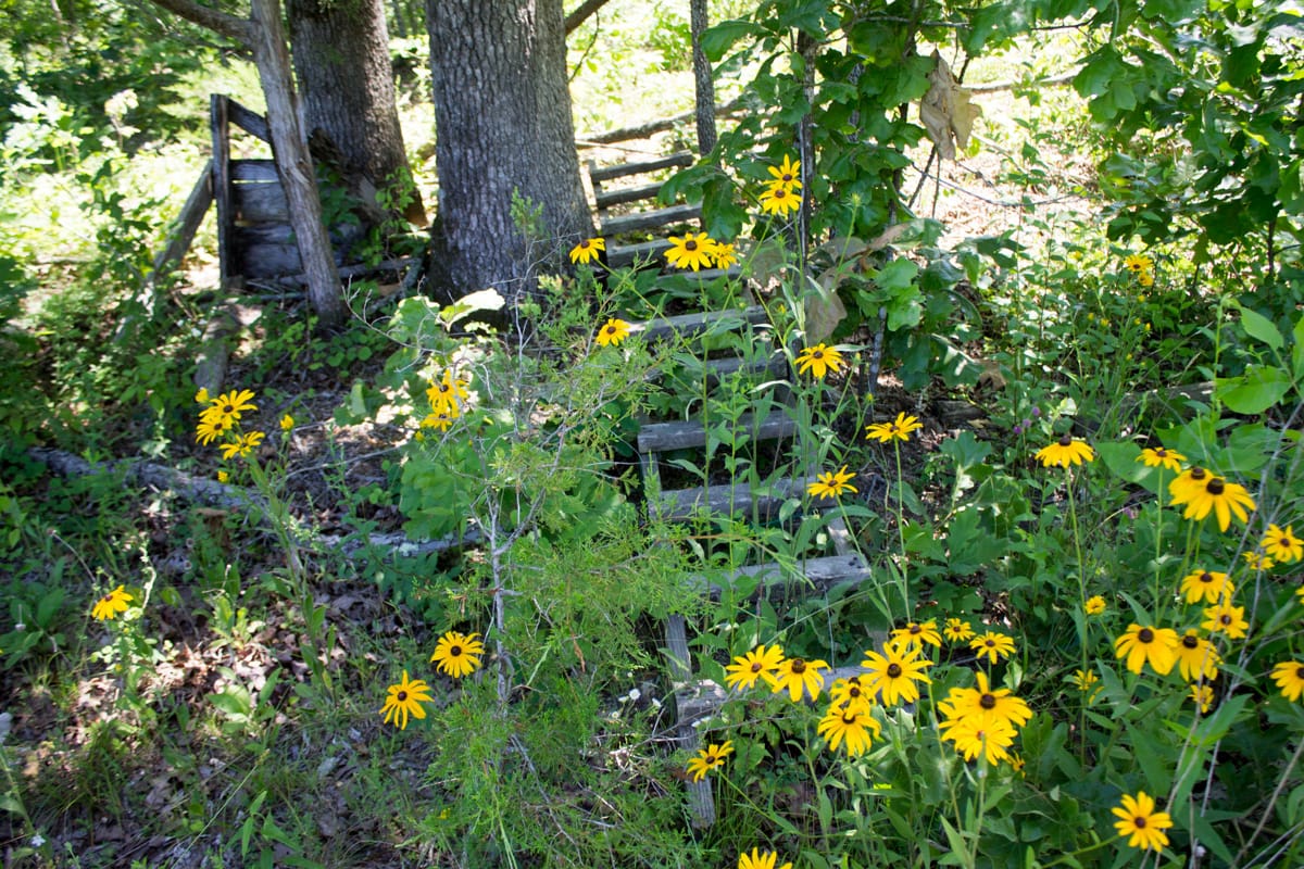 Timber Crossing Tract 25 photo 8