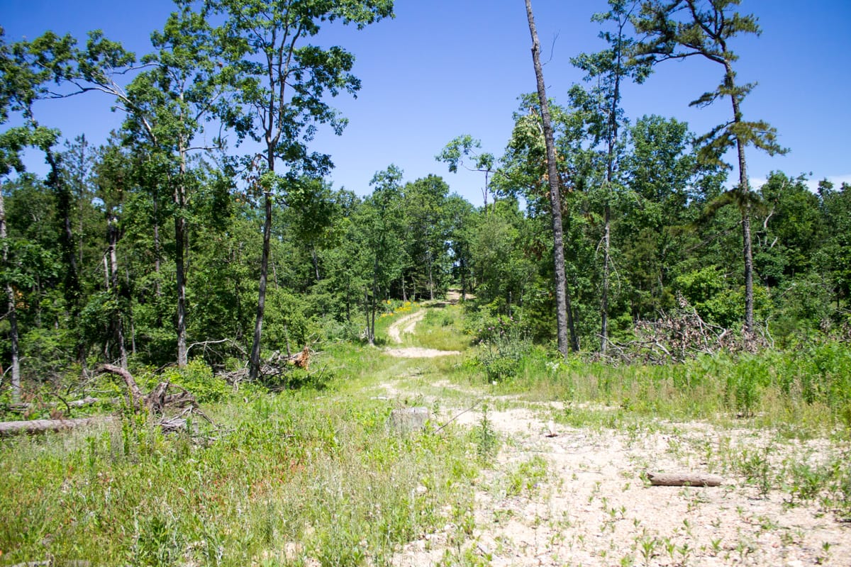 Timber Crossing Tract 25 photo 15