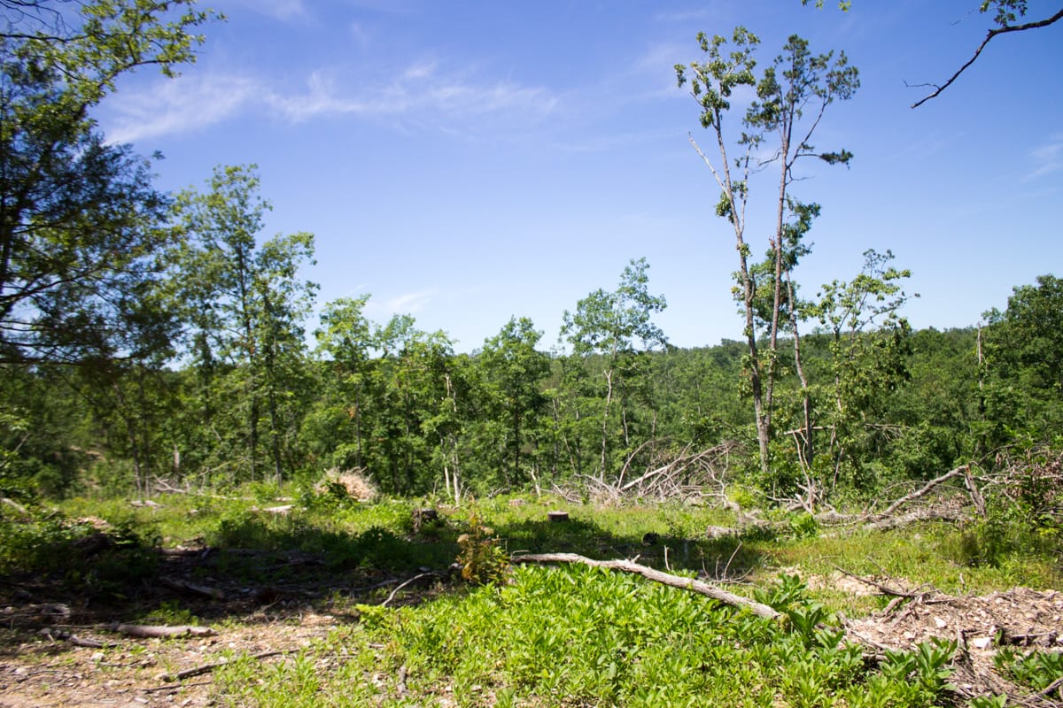 Timber Crossing Tract 25 photo 16