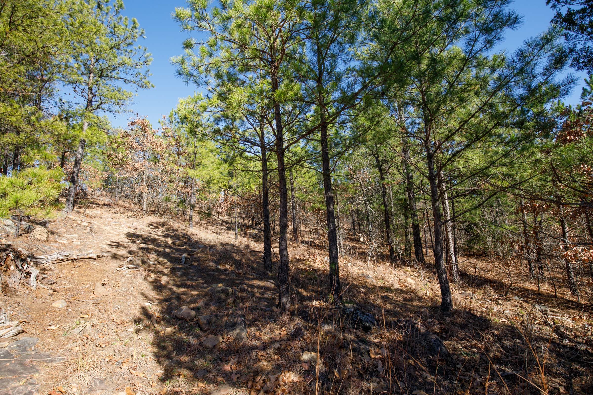 Stone Bridge Phase II Tract 77 photo 2