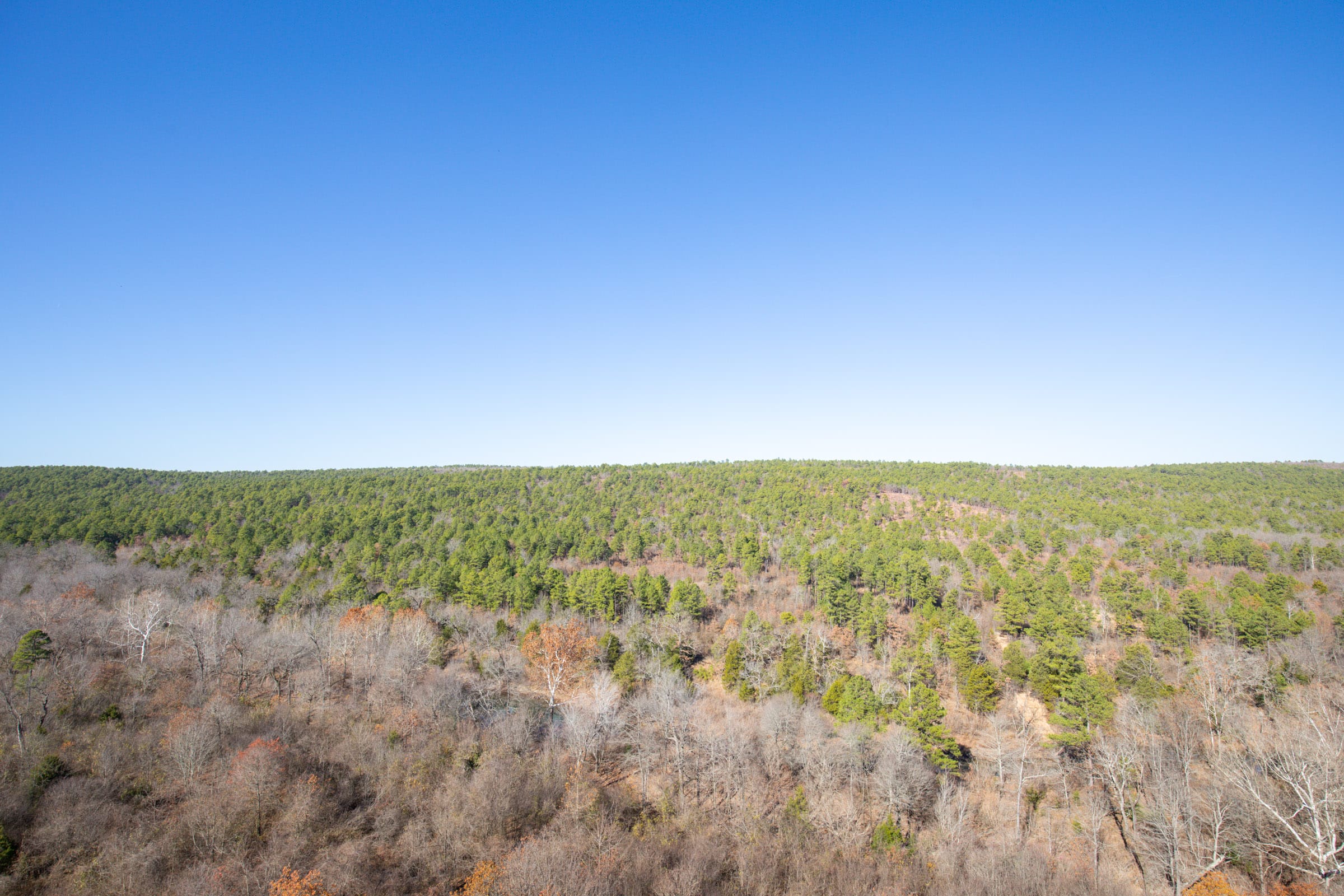Stone Bridge Phase II Tract 77 photo 5