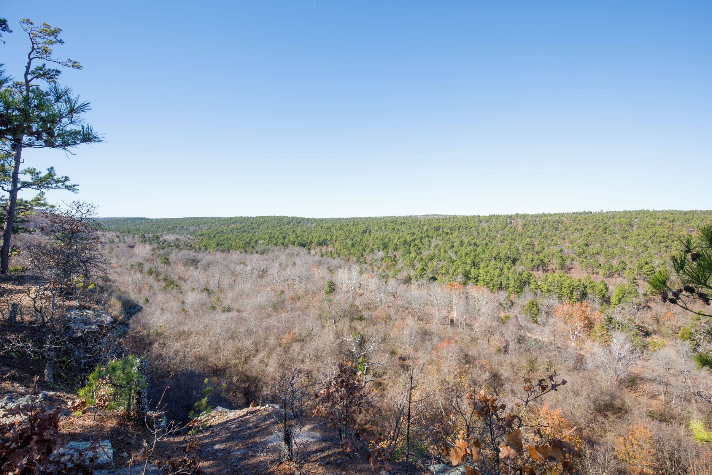 Stone Bridge Phase II Tract 77 photo 6