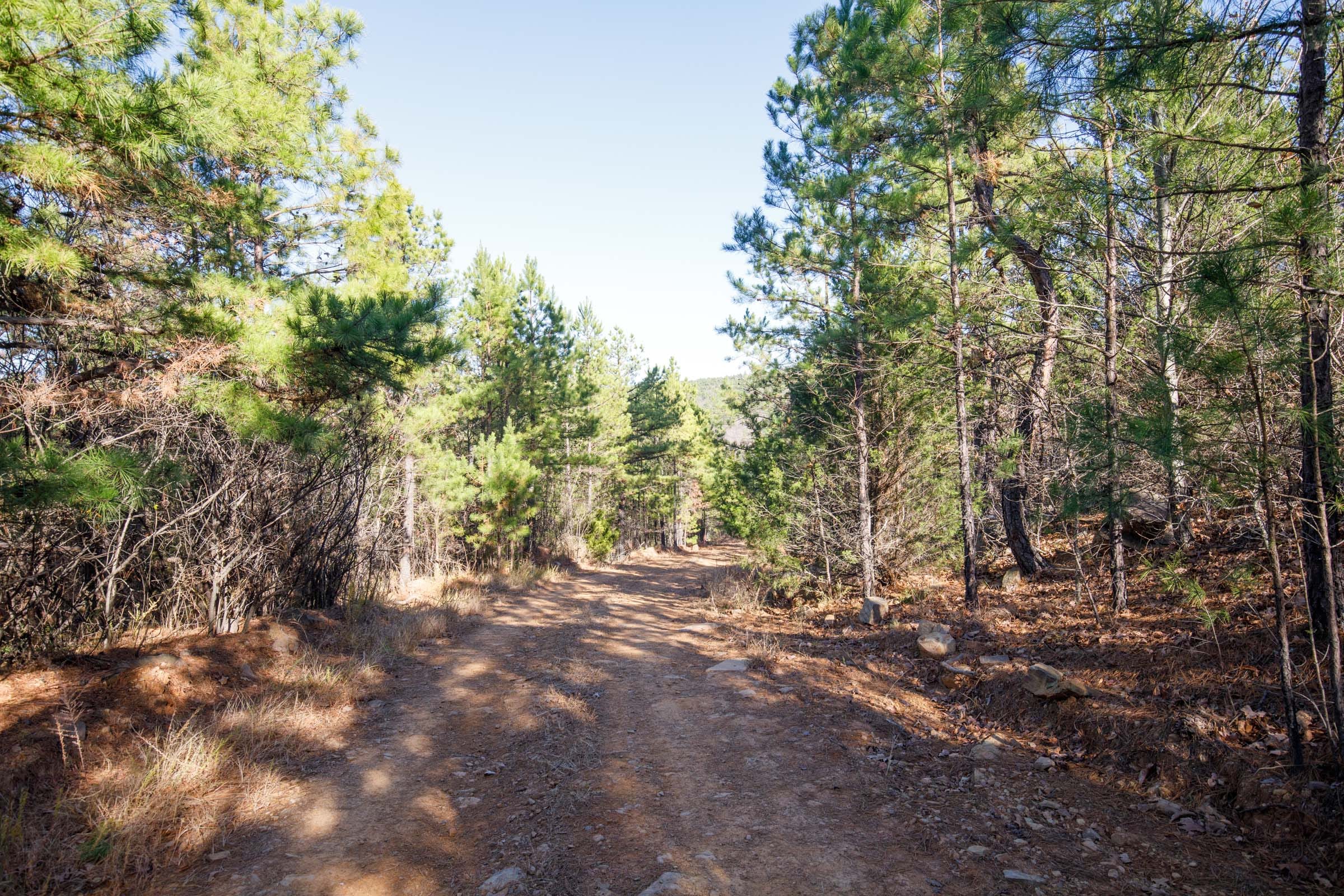 Stone Bridge Phase II Tract 77 photo 1