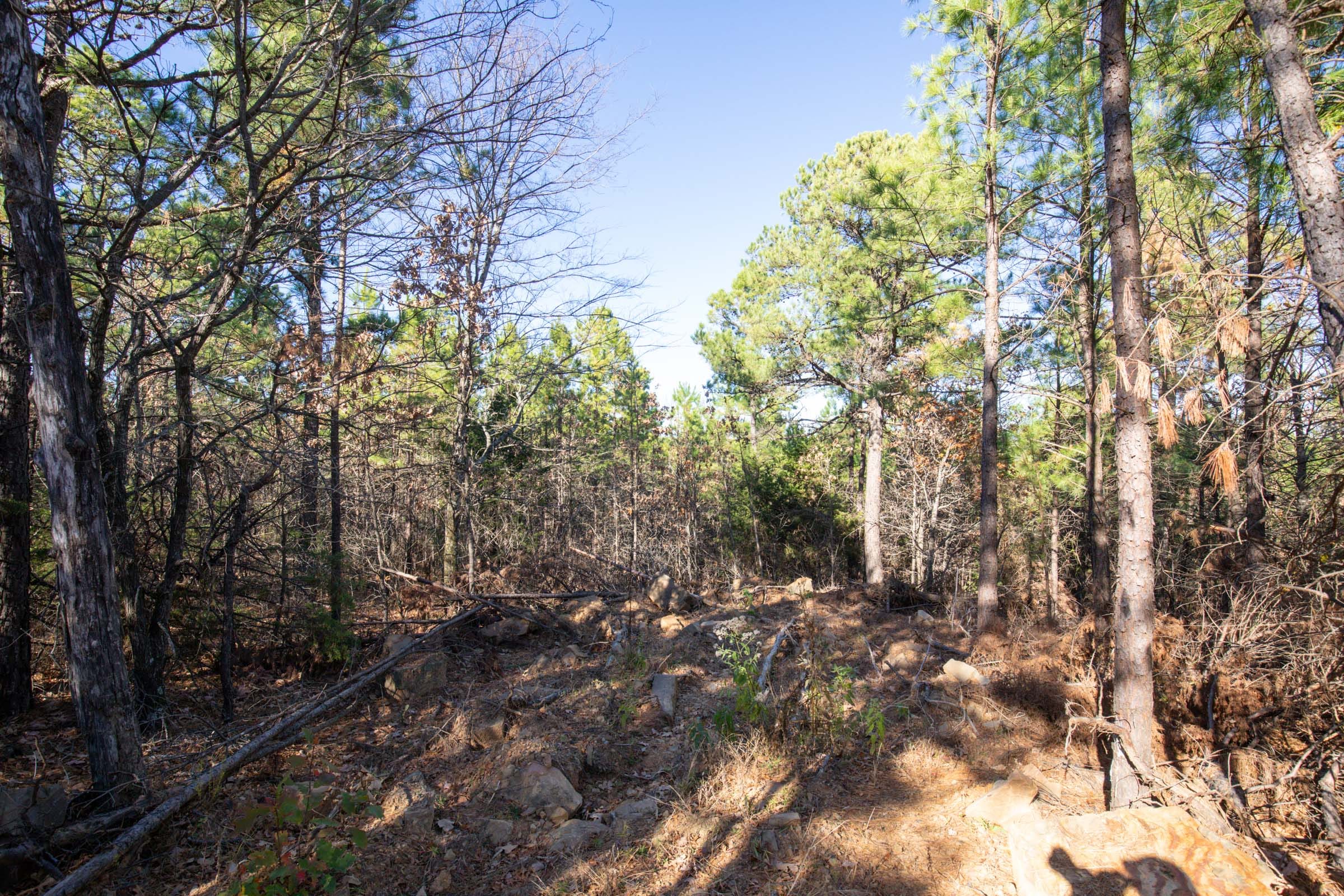 Stone Bridge Phase II Tract 77 photo 13