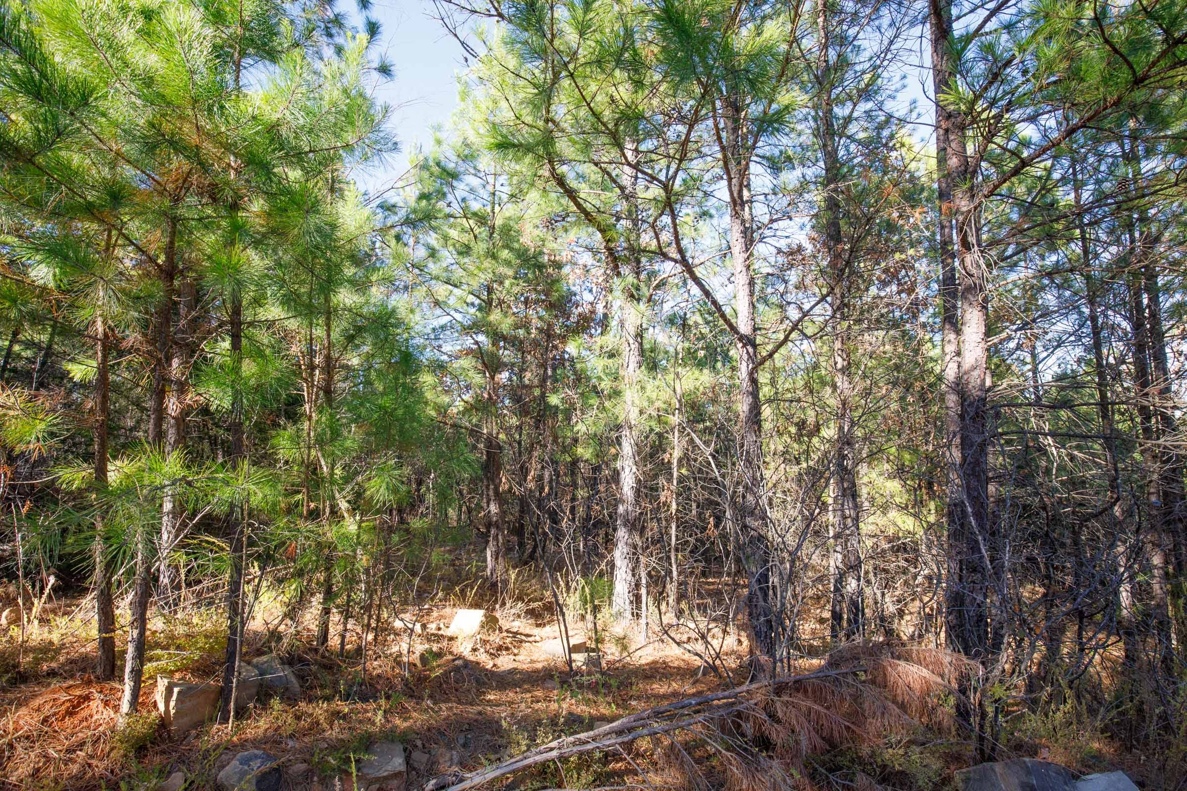 Stone Bridge Phase II Tract 77 photo 14