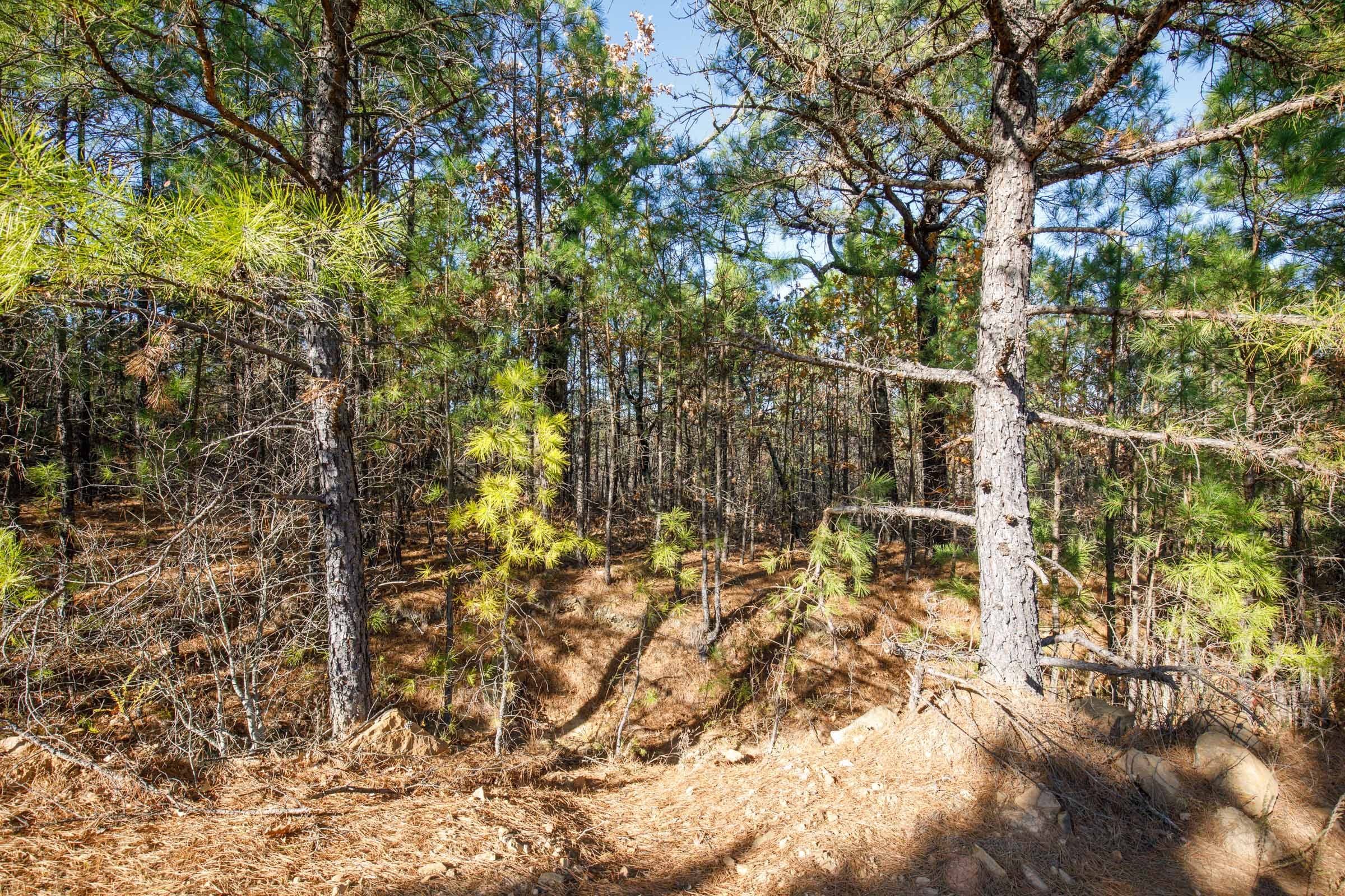Stone Bridge Phase II Tract 77 photo 16