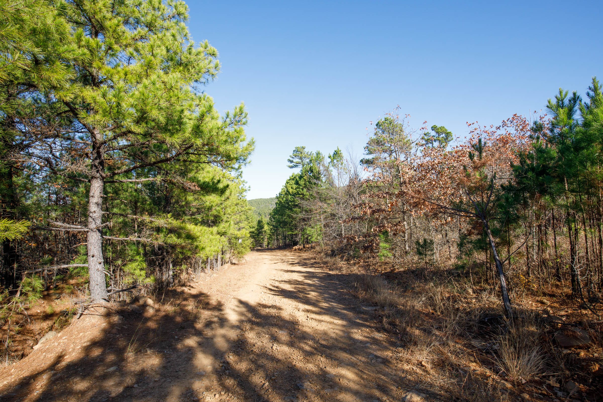Stone Bridge Phase II Tract 77 photo 8