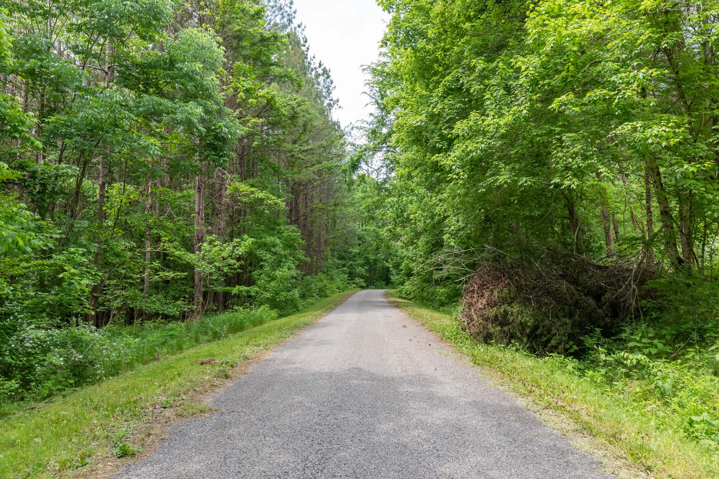 Cedar Creek Tract 40 photo 5