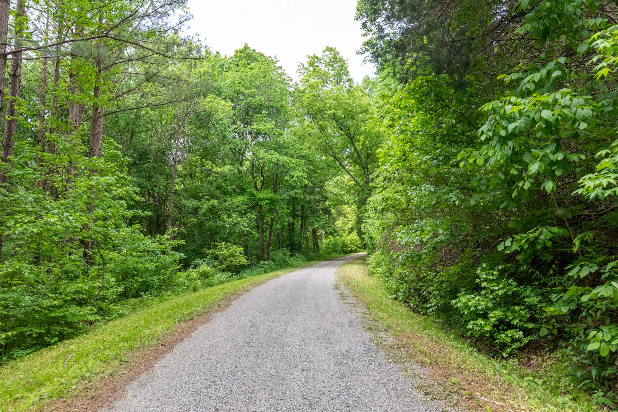 Cedar Creek Tract 40 photo 9