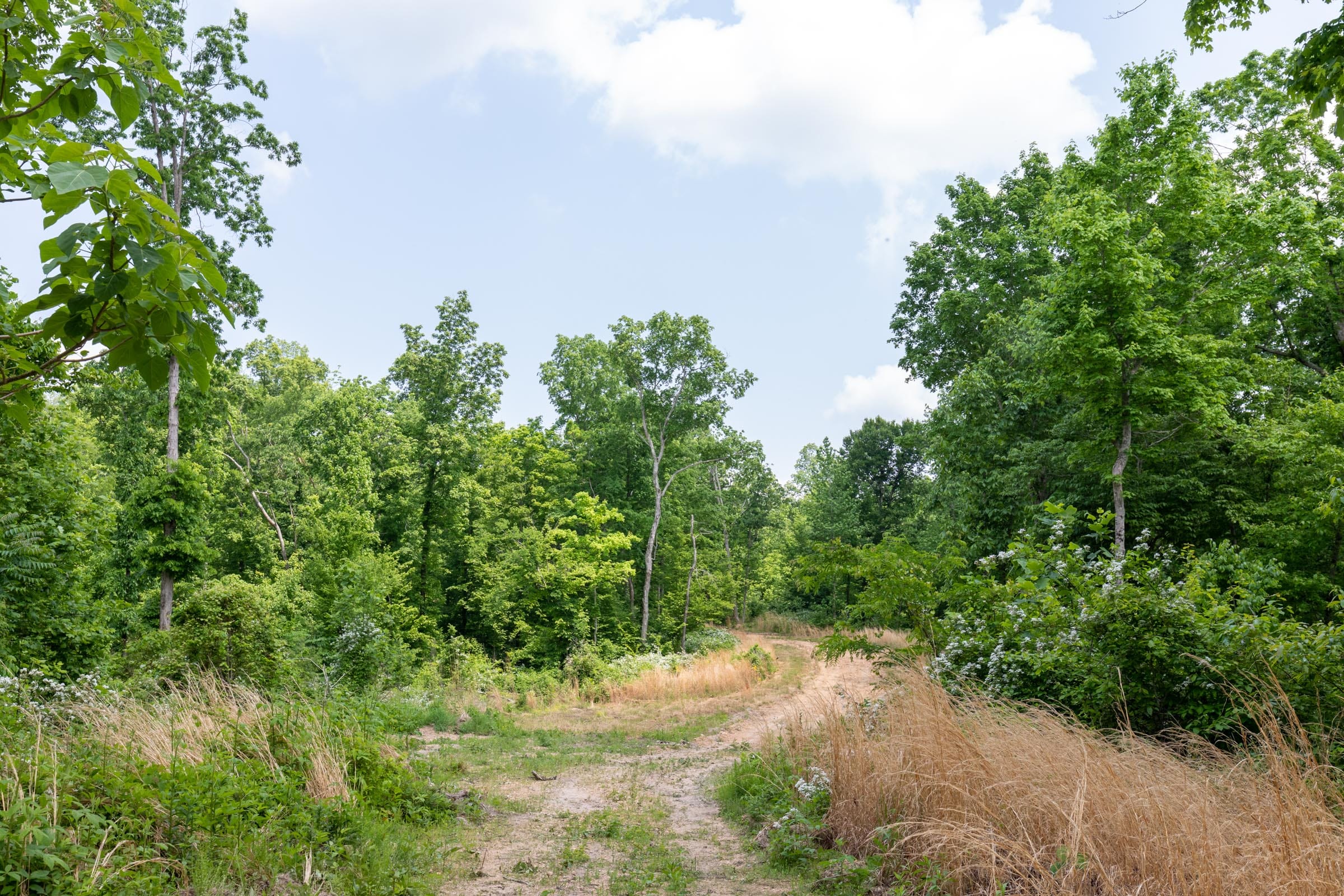 Cedar Creek Tract 40 photo 1