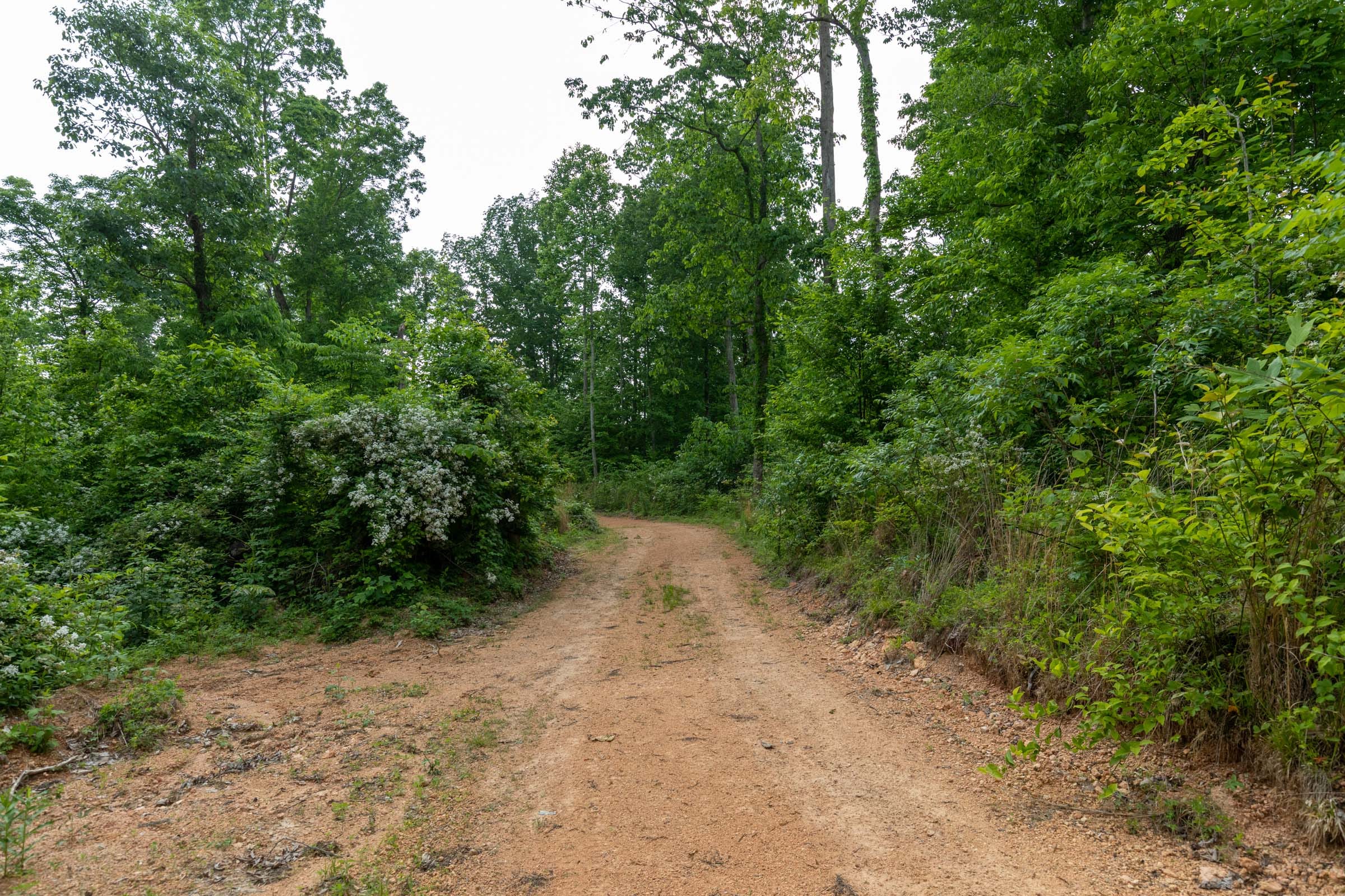 Cedar Creek Tract 48 photo 5