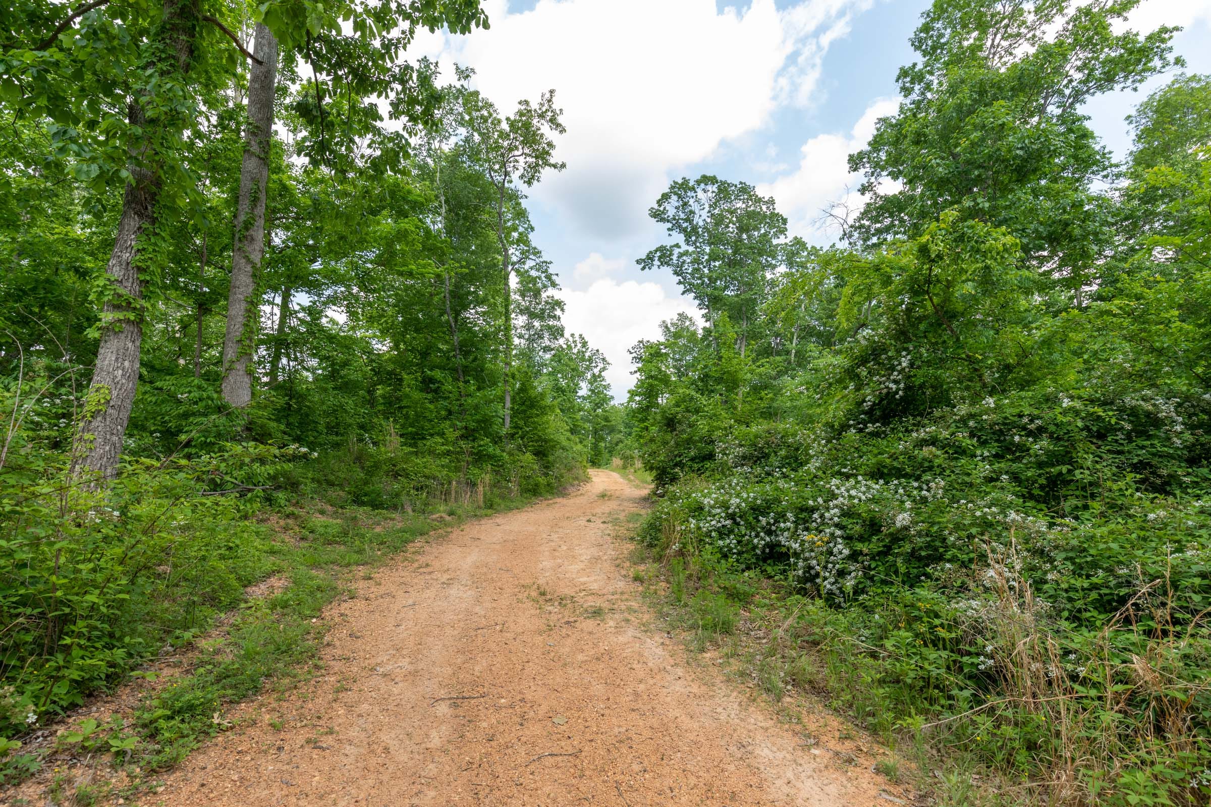 Cedar Creek Tract 48 photo 1