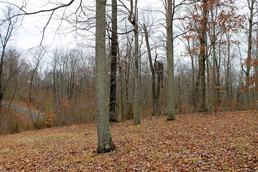 The Tennessean Tract 45 photo 8