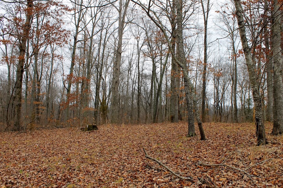 The Tennessean Tract 45 photo 9