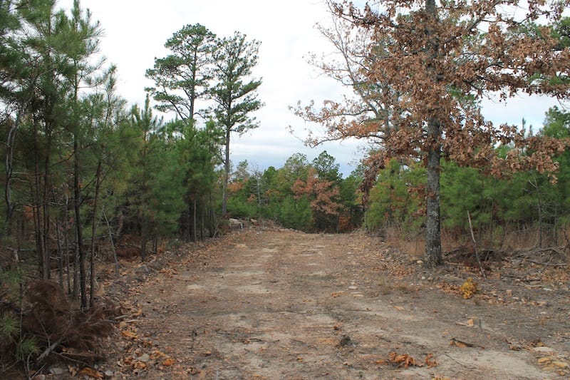 Indian Ridge – Phase I Tract 3 photo 1
