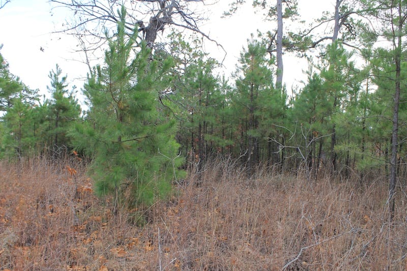Indian Ridge – Phase I Tract 3 photo 2