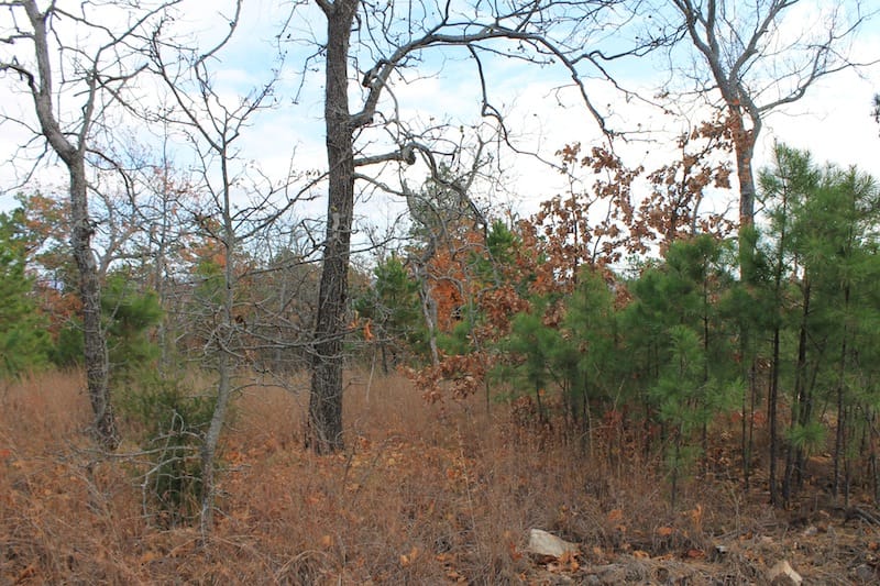 Indian Ridge – Phase I Tract 3 photo 3