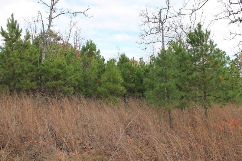 Indian Ridge – Phase I Tract 3 photo 4