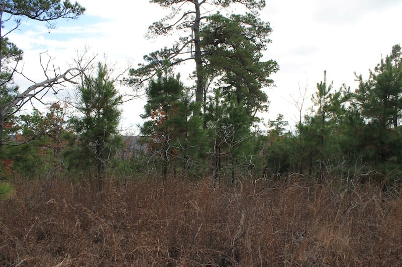 Indian Ridge – Phase I Tract 3 photo 5