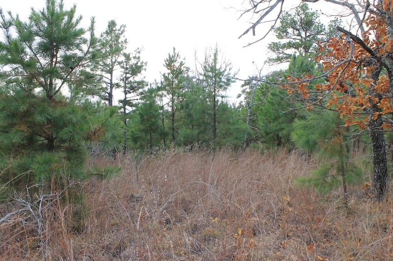 Indian Ridge – Phase I Tract 3 photo 6