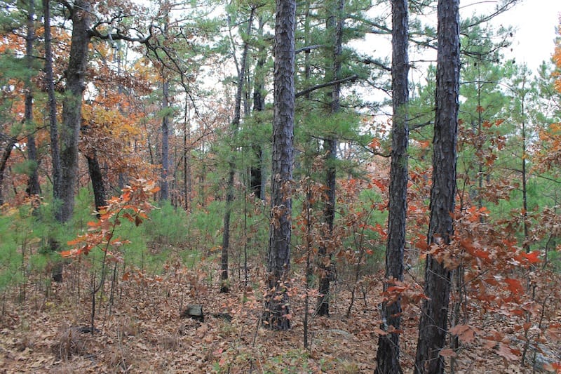 Indian Ridge – Phase I Tract 3 photo 7