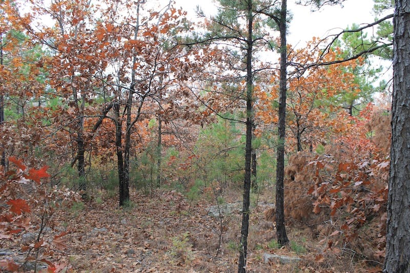 Indian Ridge – Phase I Tract 3 photo 8